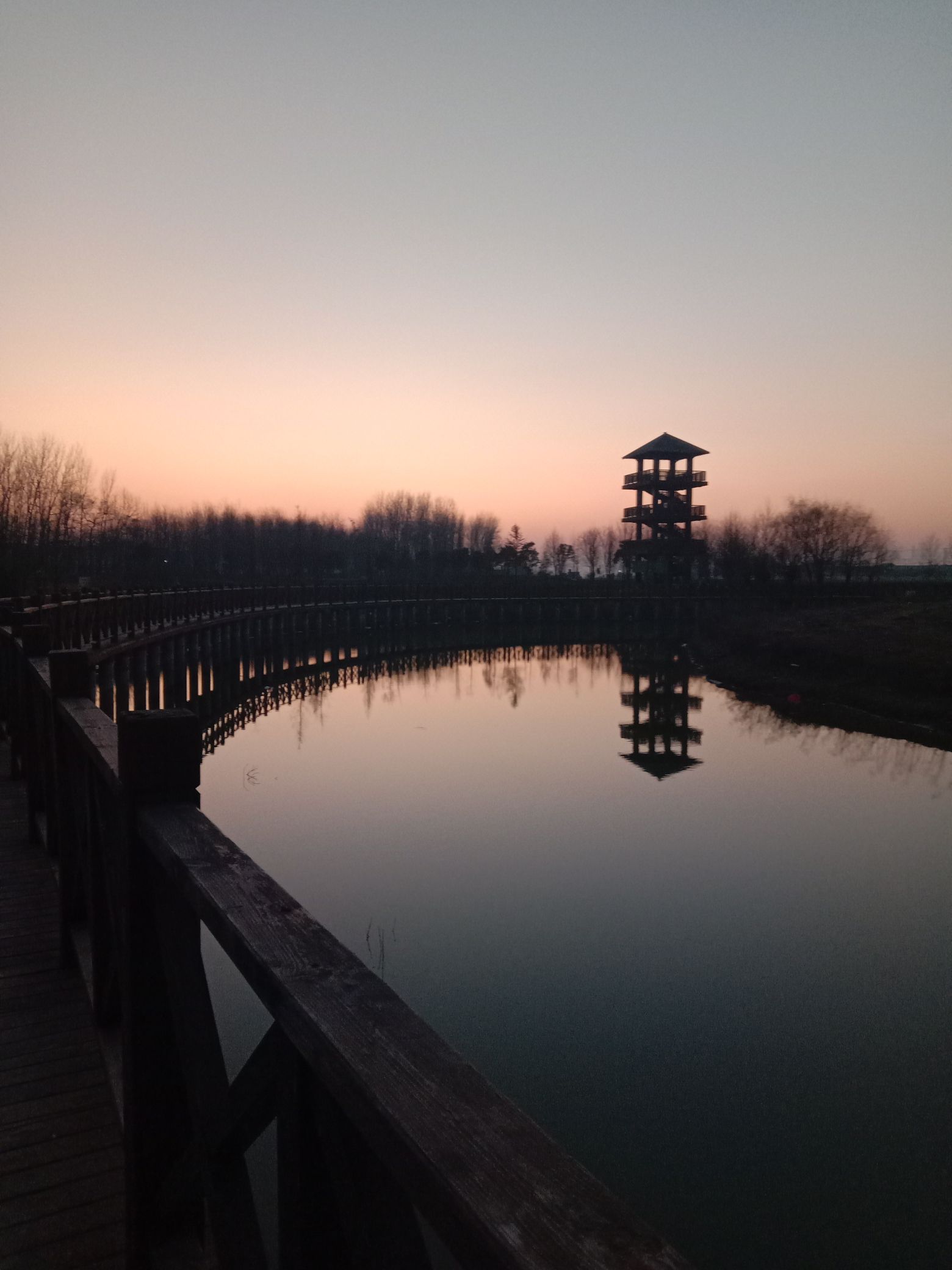 临泉戴桥鹭鸟洲湿地公园旅行图片 2