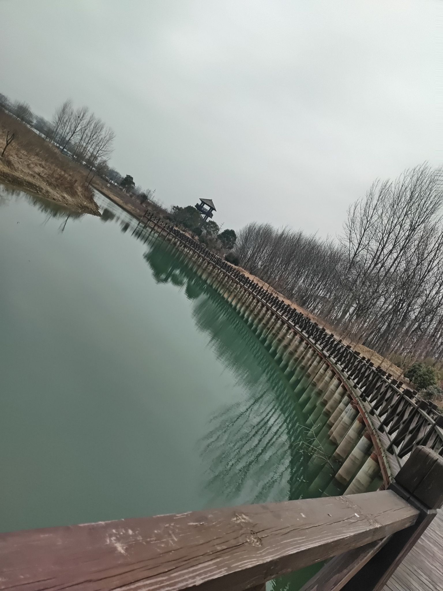 临泉戴桥鹭鸟洲湿地公园旅行图片 2