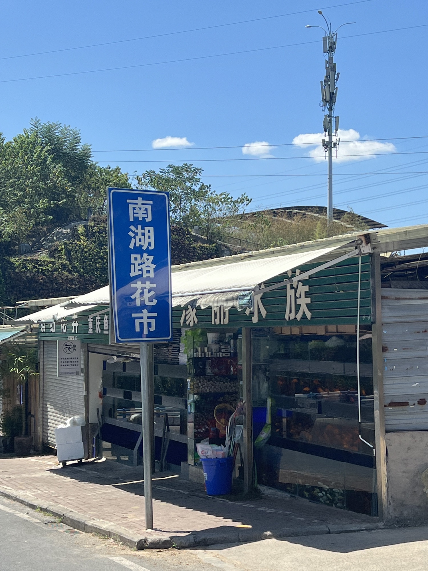南湖路花市