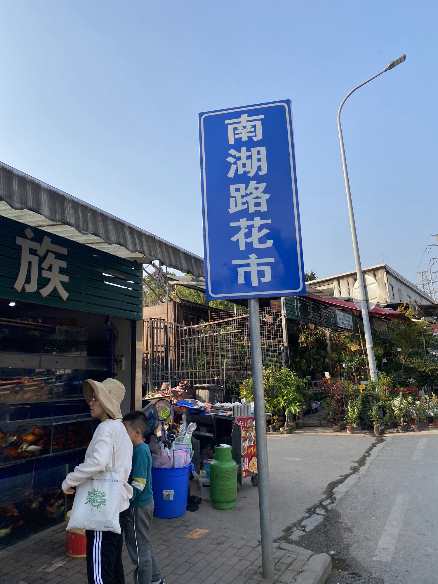 南湖路花市