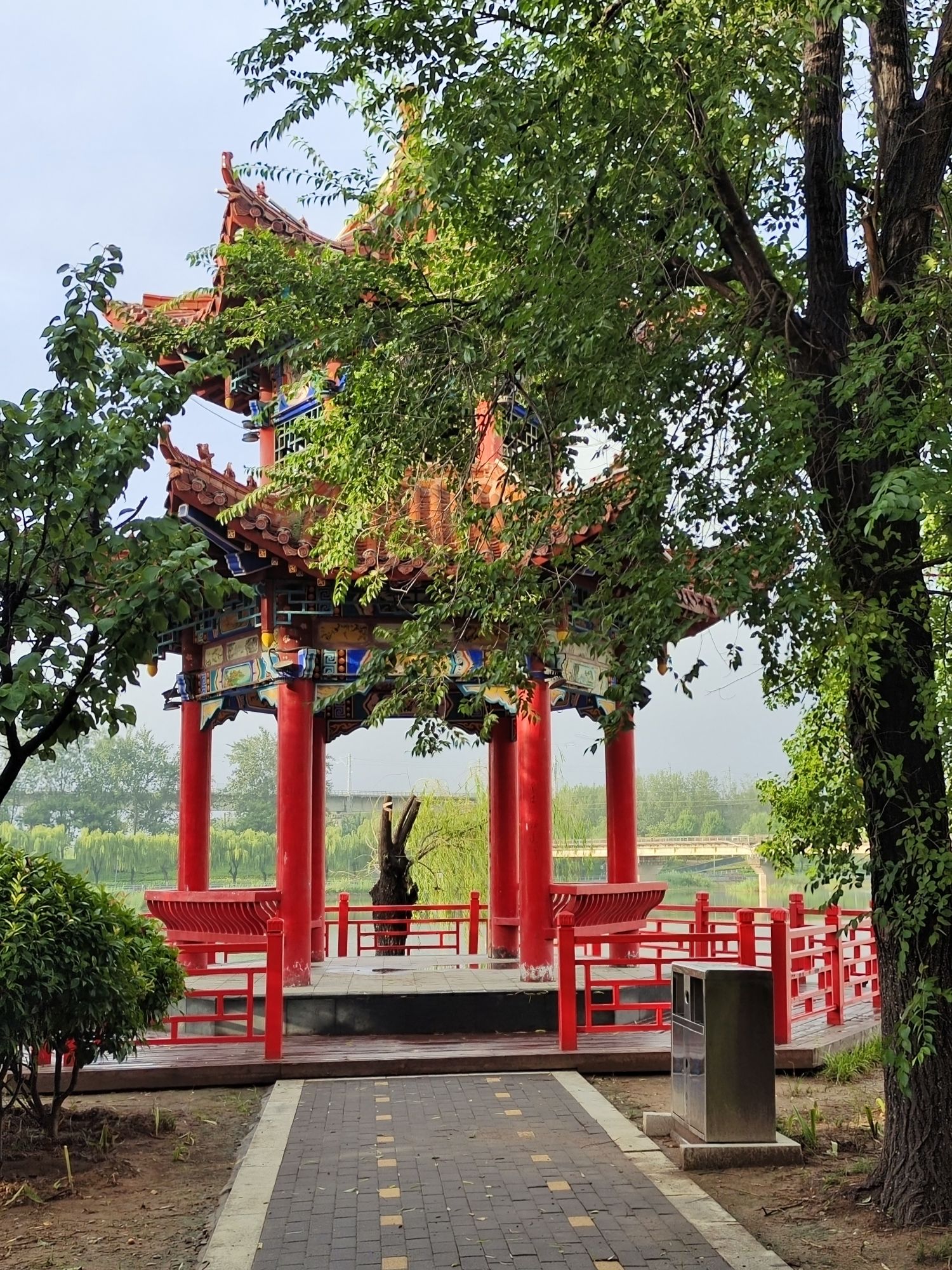 河南台前金水国家湿地公园旅行图片 2