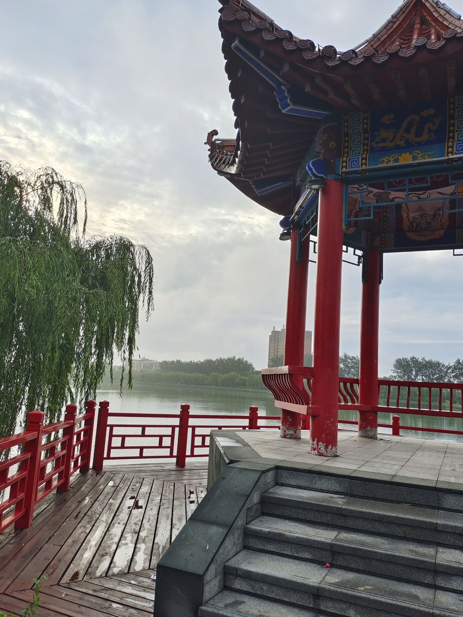 河南台前金水国家湿地公园旅行图片 1