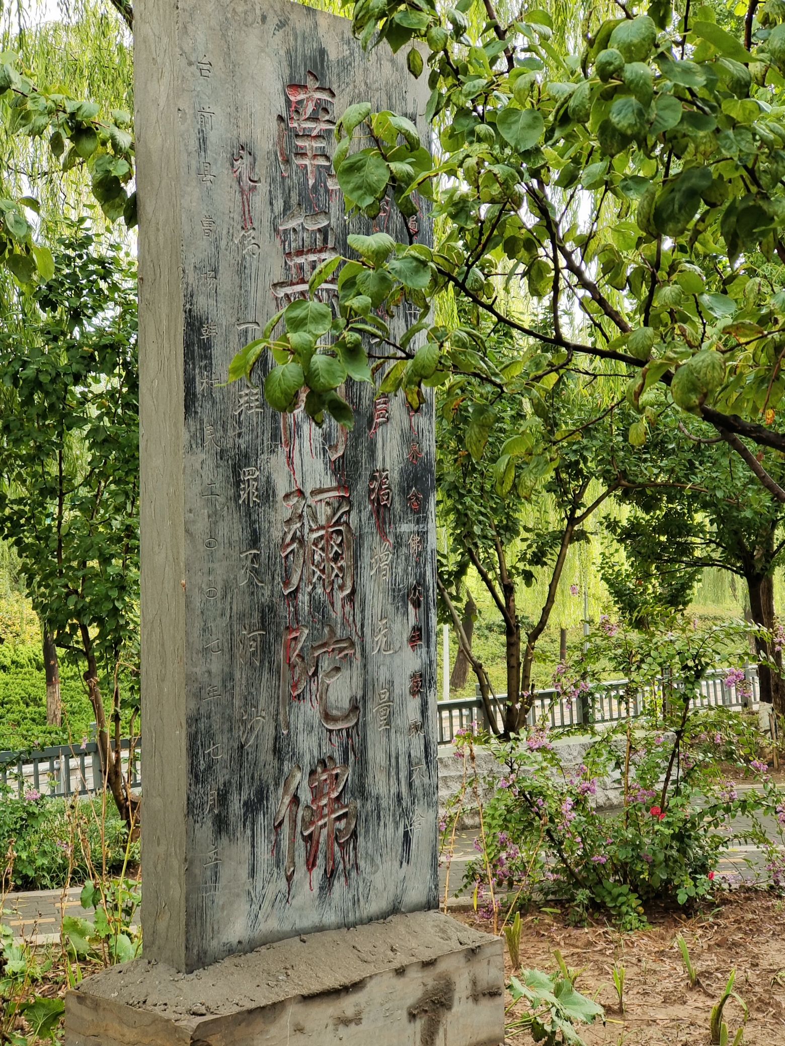 河南台前金水国家湿地公园旅行图片 3