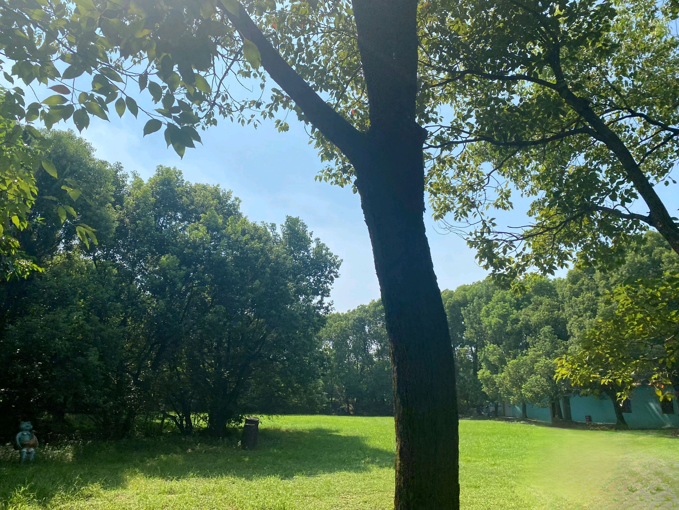 河南台前金水国家湿地公园旅行图片 1