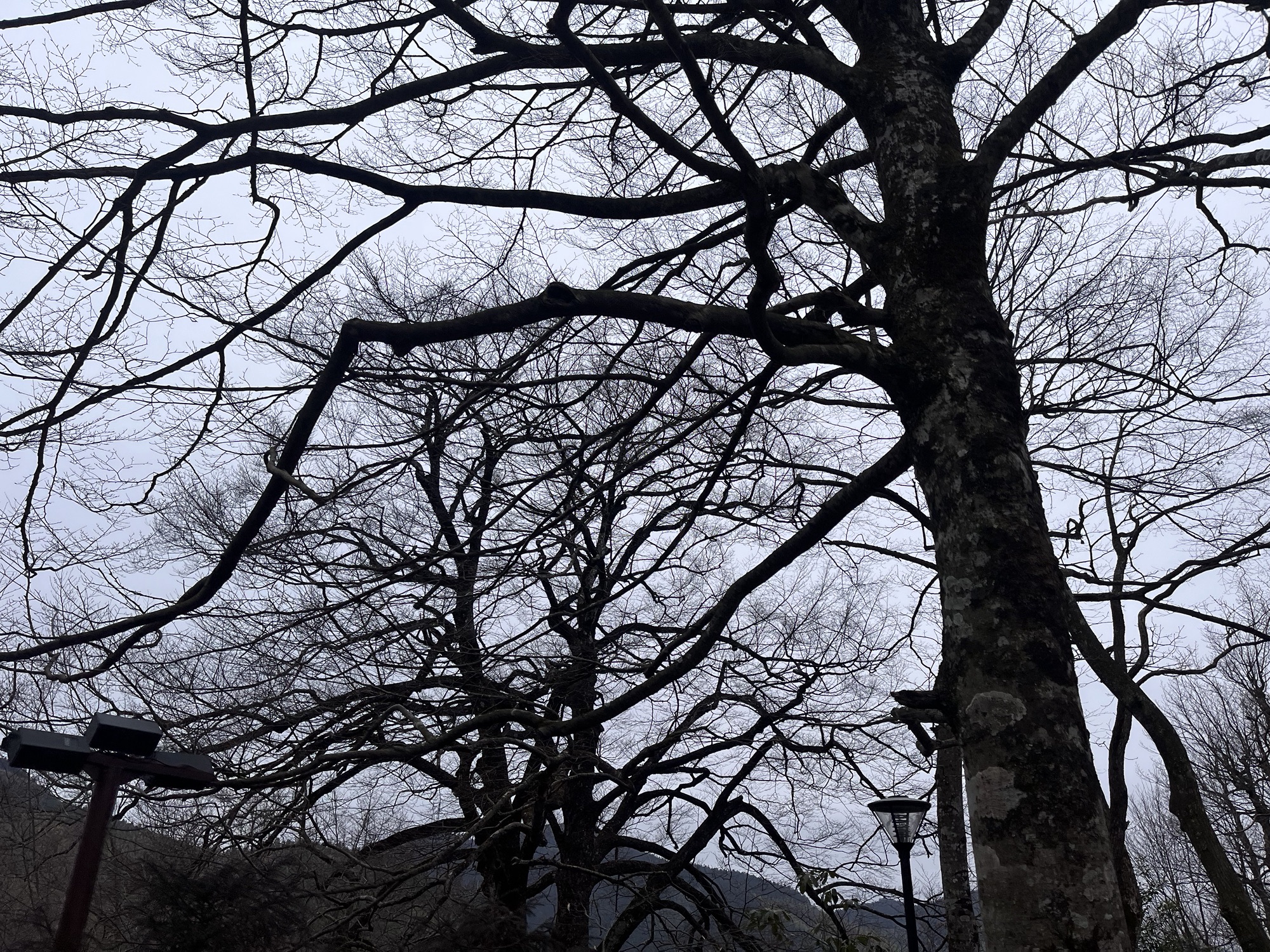 大花瑶虎形山景区旅行图片 1
