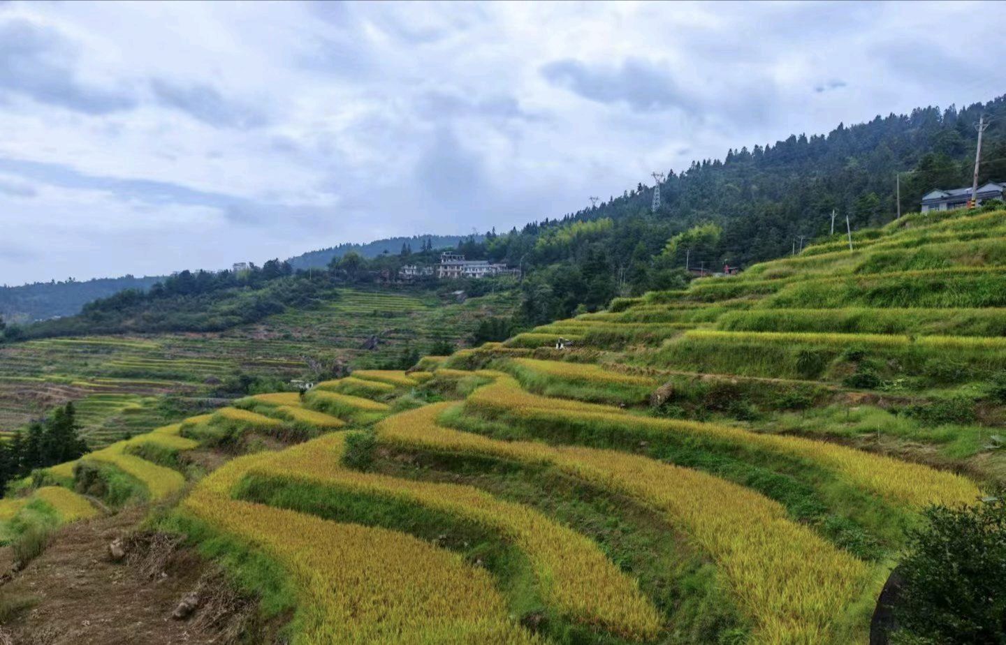 大花瑶虎形山景区