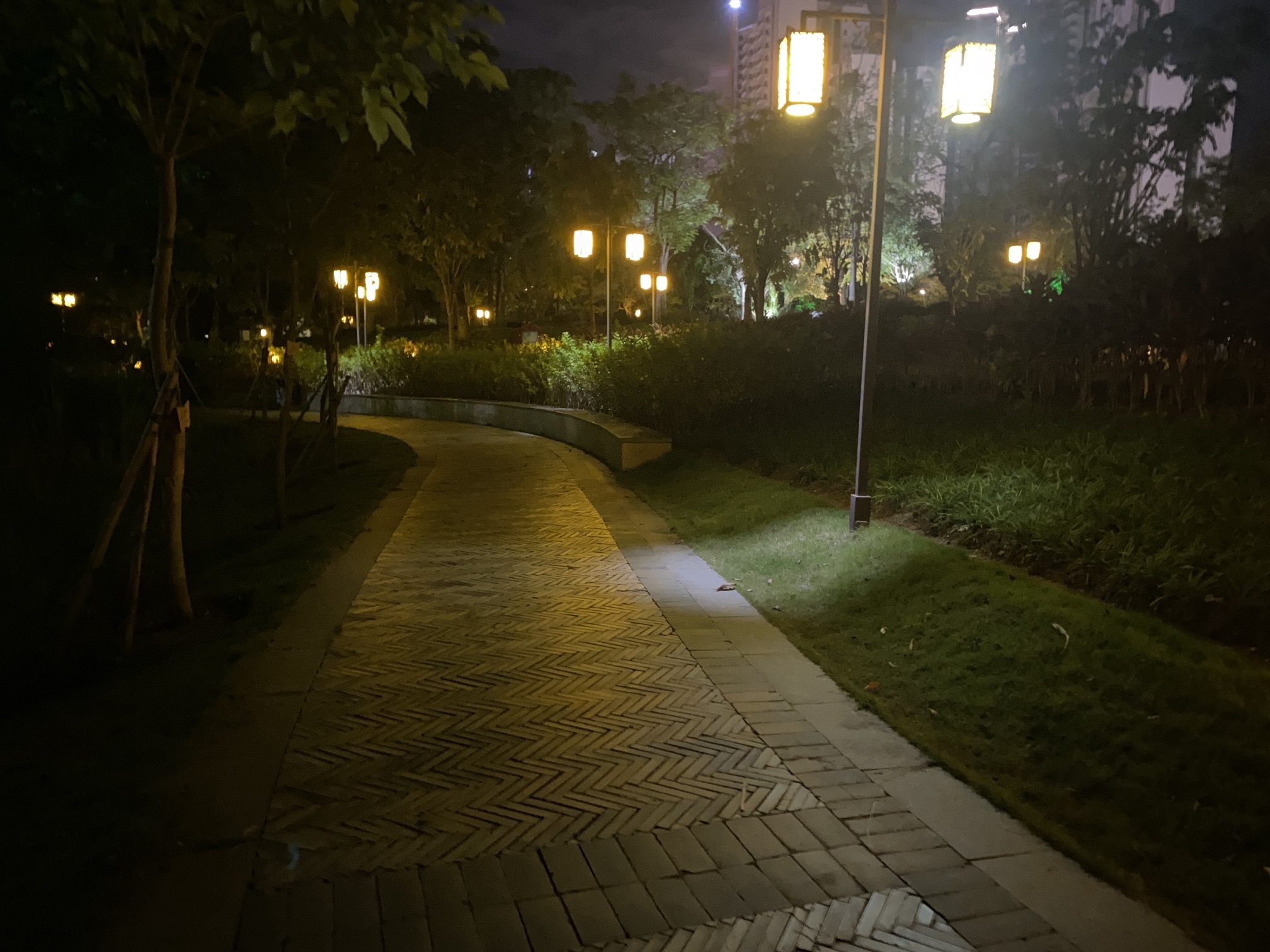 骆越公园旅行图片 1