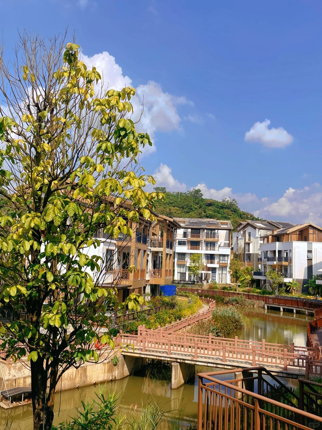 南国乡村·农村综合旅游景区旅行图片 2