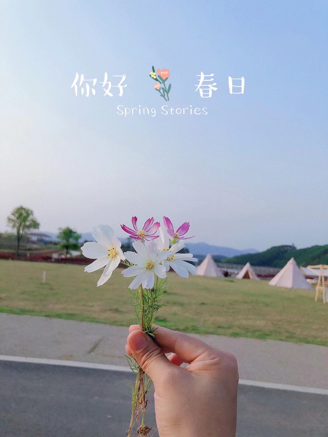 南国乡村·农村综合旅游景区旅行图片 1