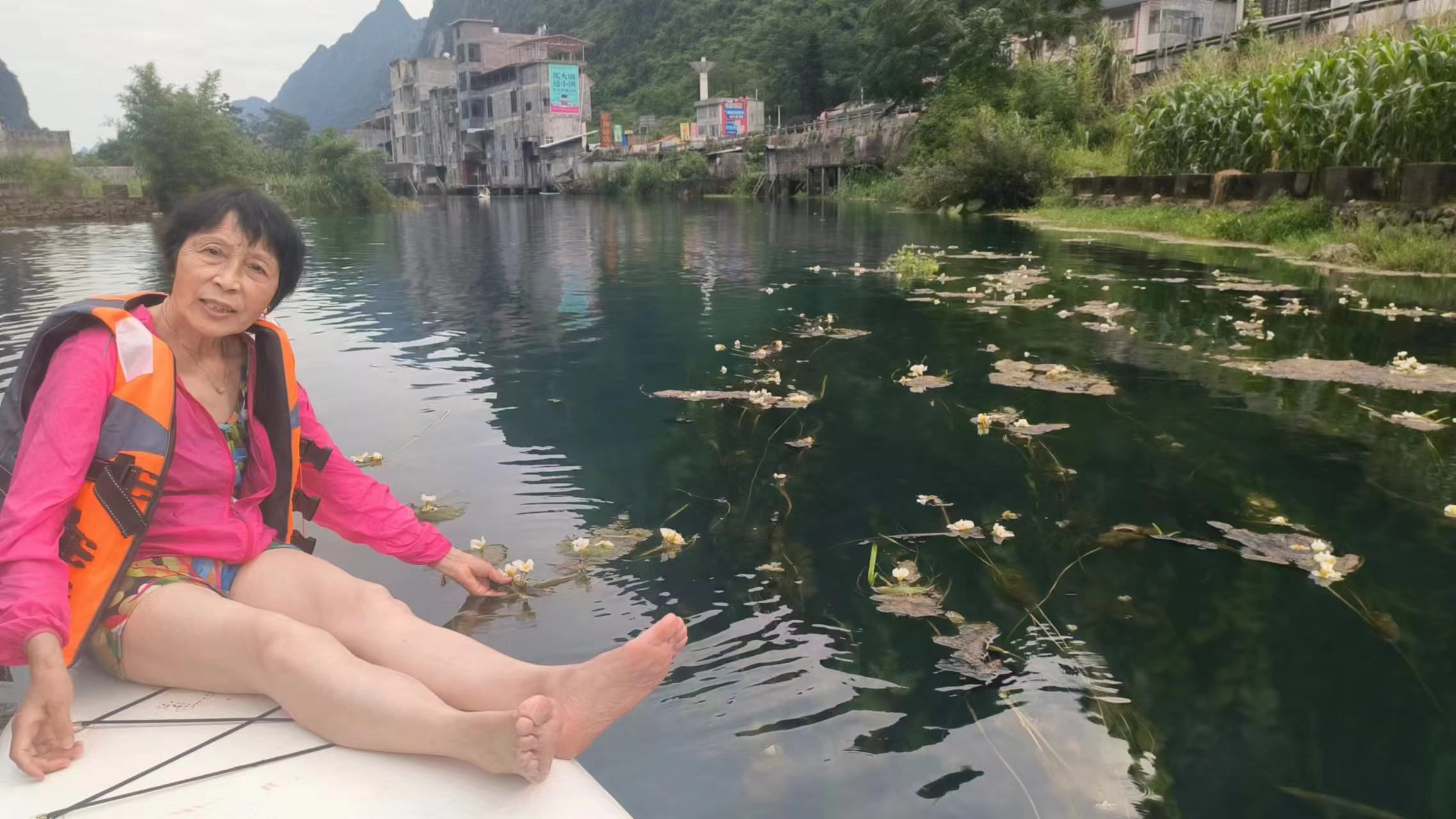 海菜花观赏基地旅行图片 2