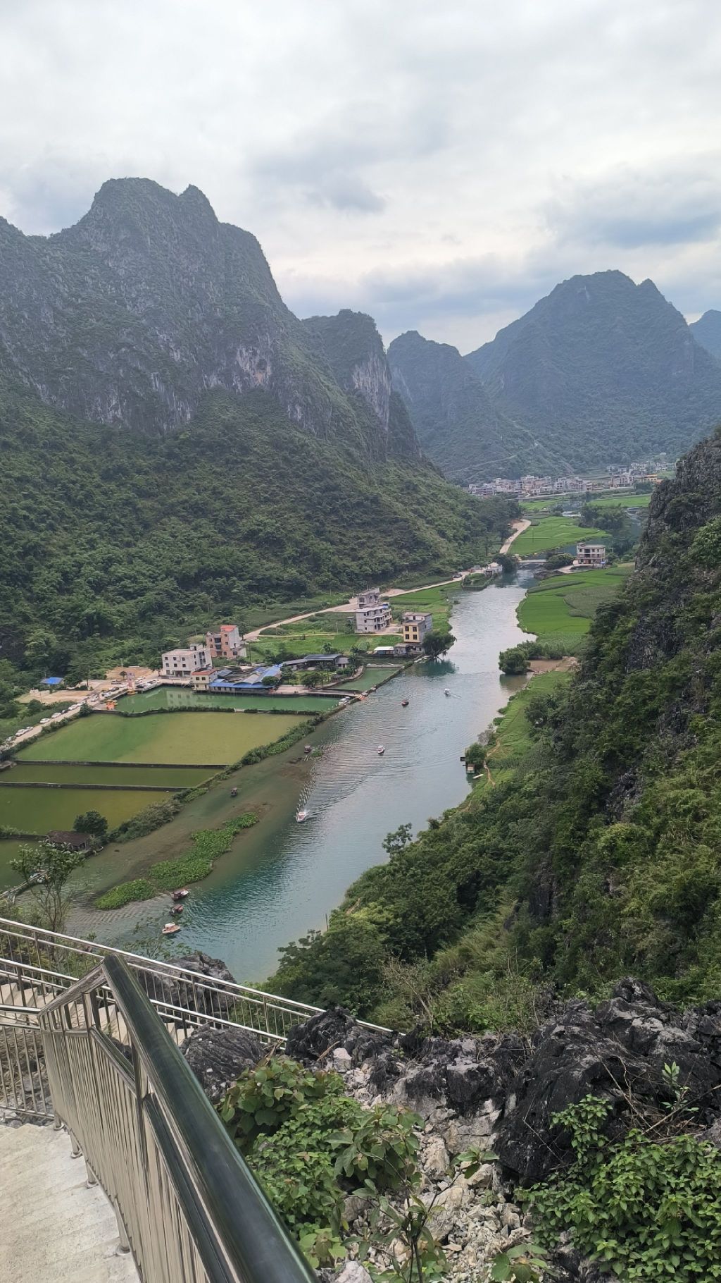 海菜花观赏基地旅行图片 1