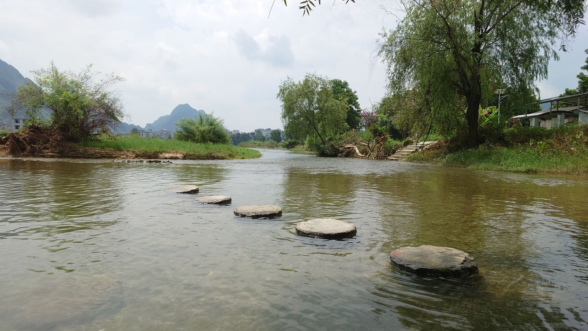 海菜花观赏基地旅行图片 2