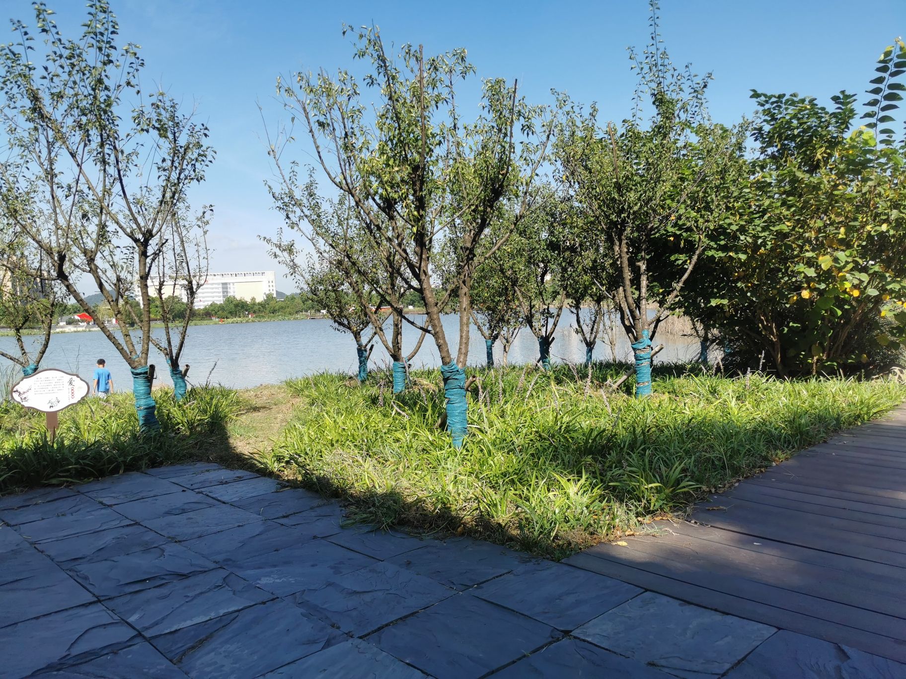 西湖公园旅行图片 1