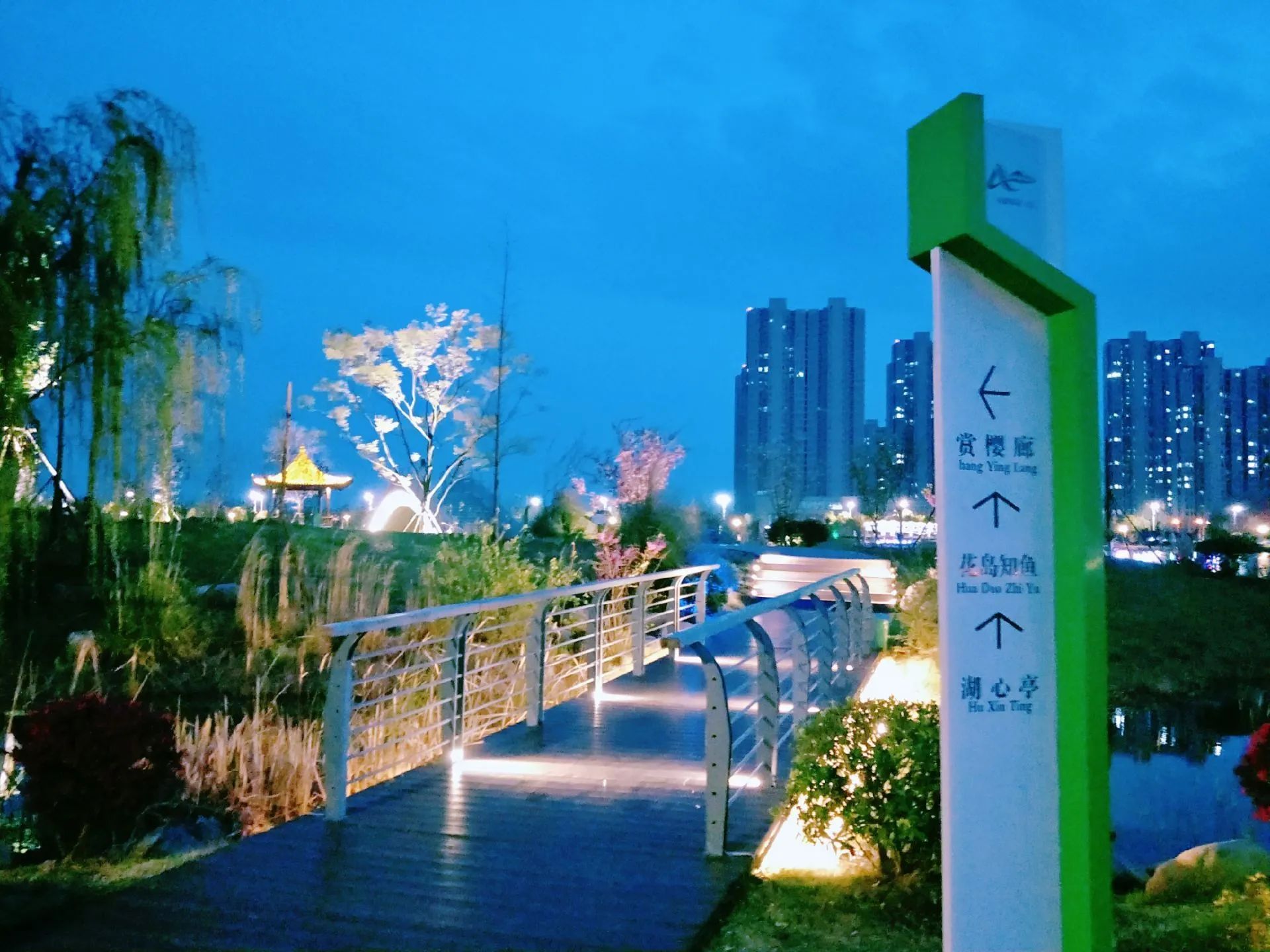 西湖公园旅行图片 2