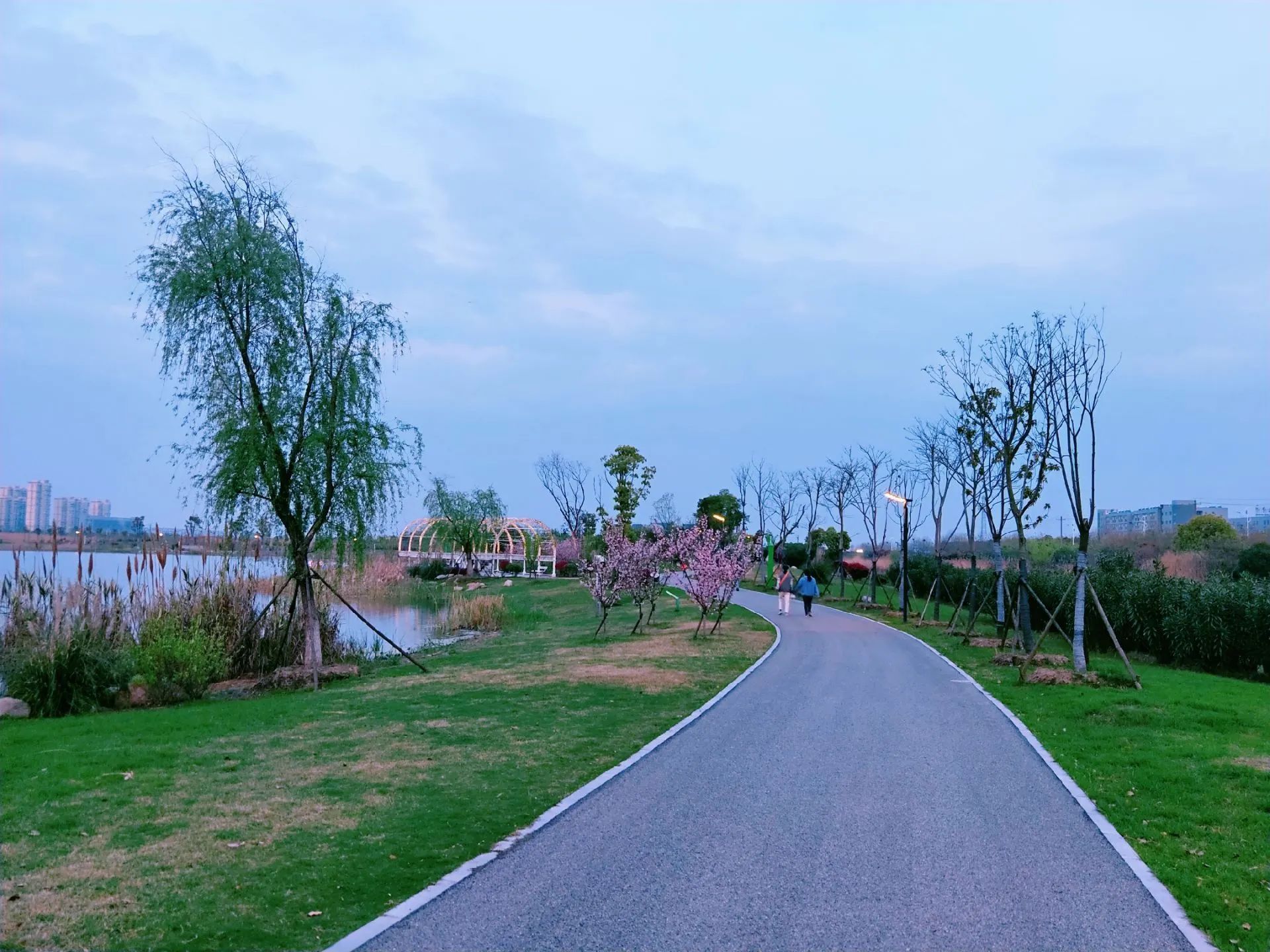 西湖公园旅行图片 3