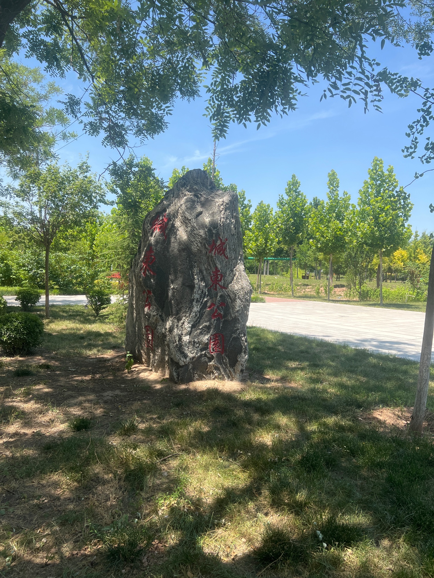 城东公园旅行图片 2