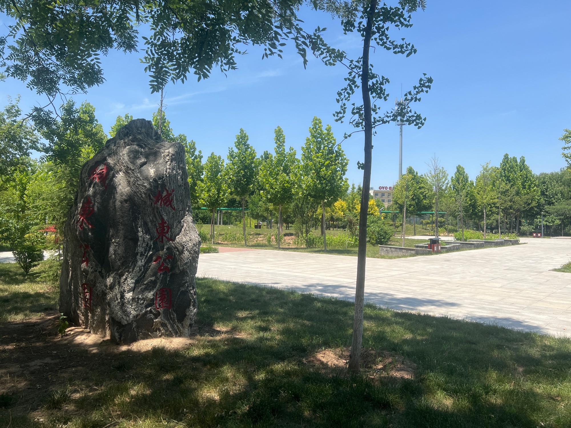 城东公园旅行图片 3