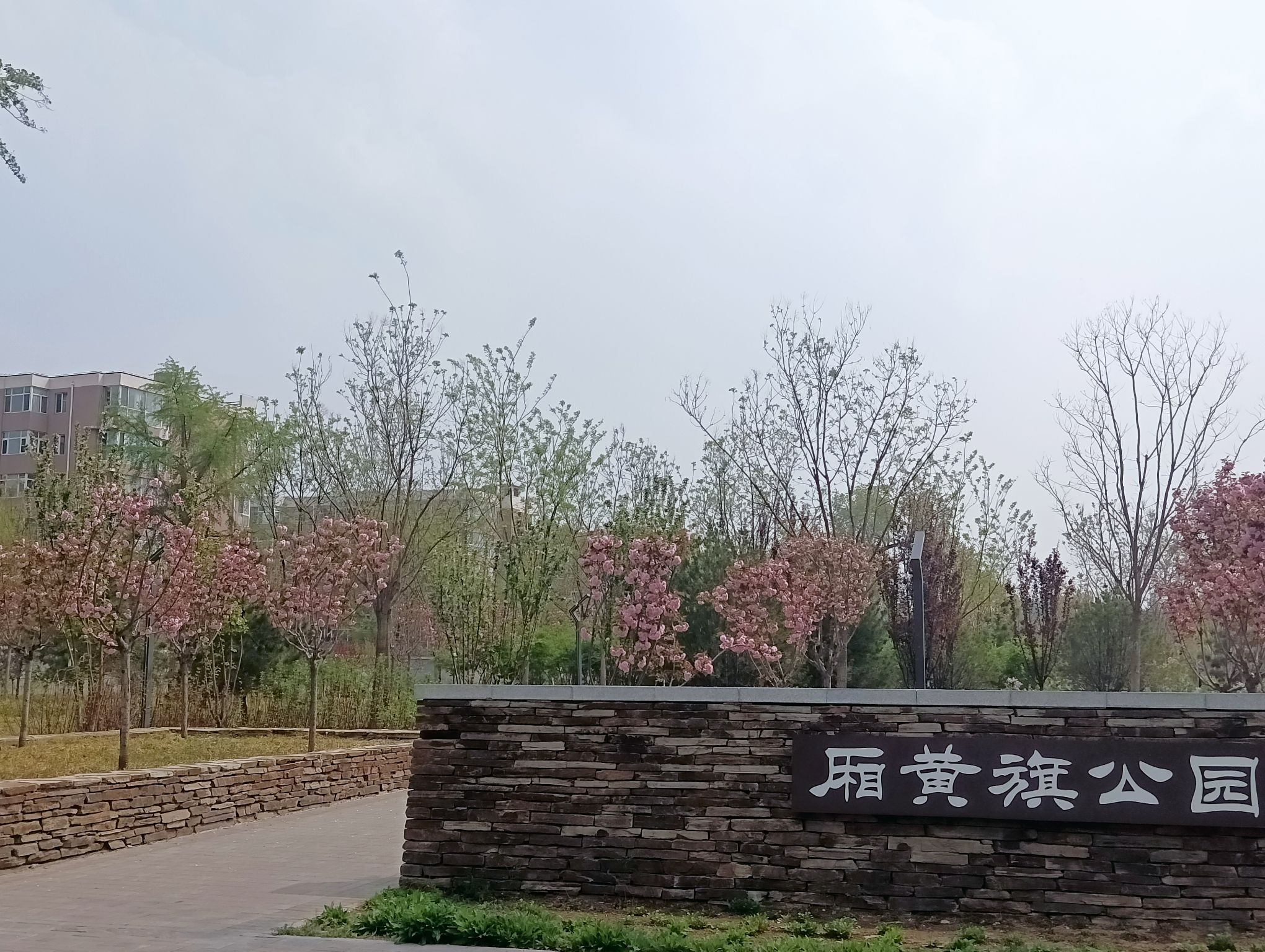 厢黄旗公园旅行图片 3