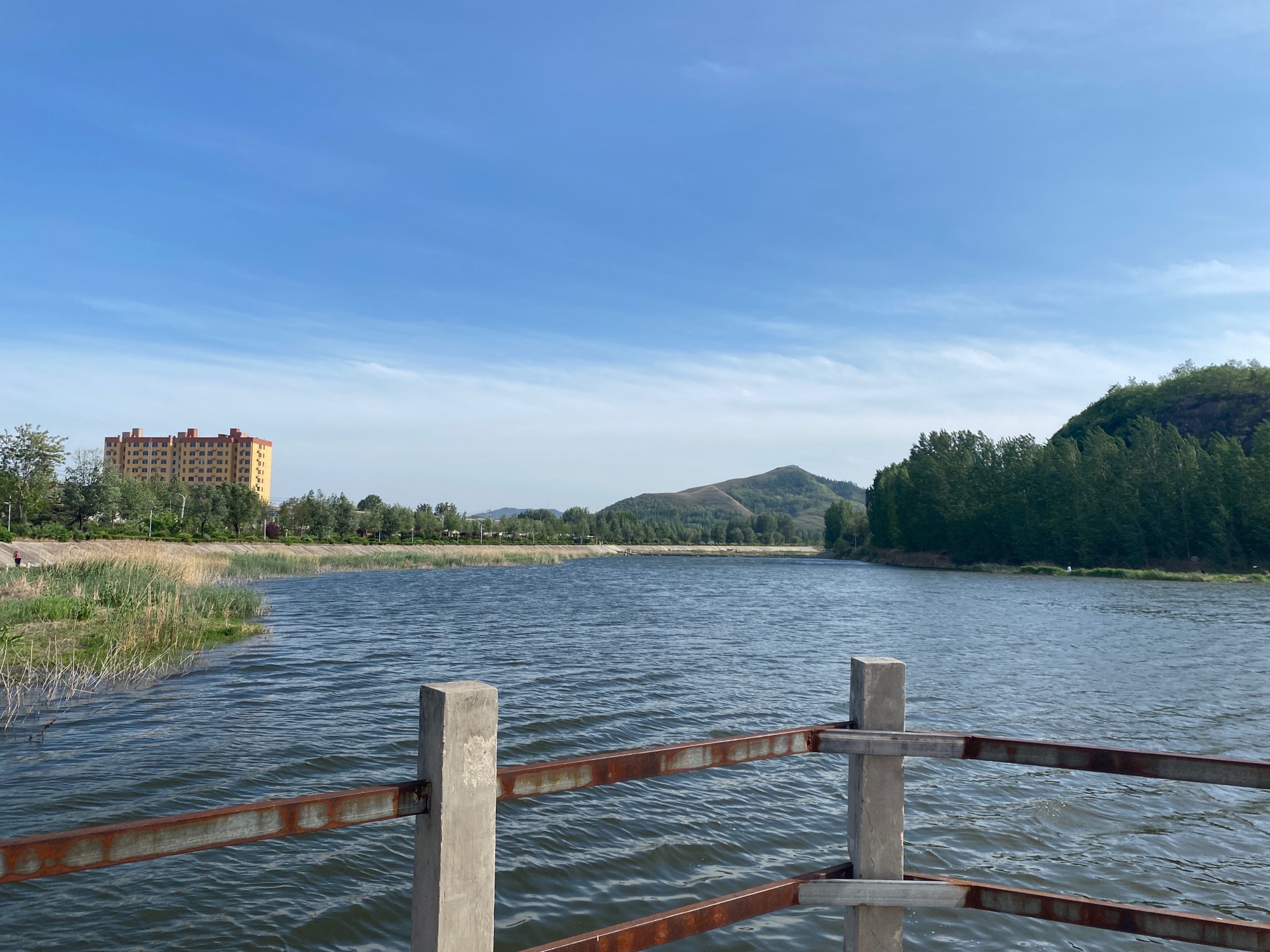 弥河源湿地公园旅行图片 1