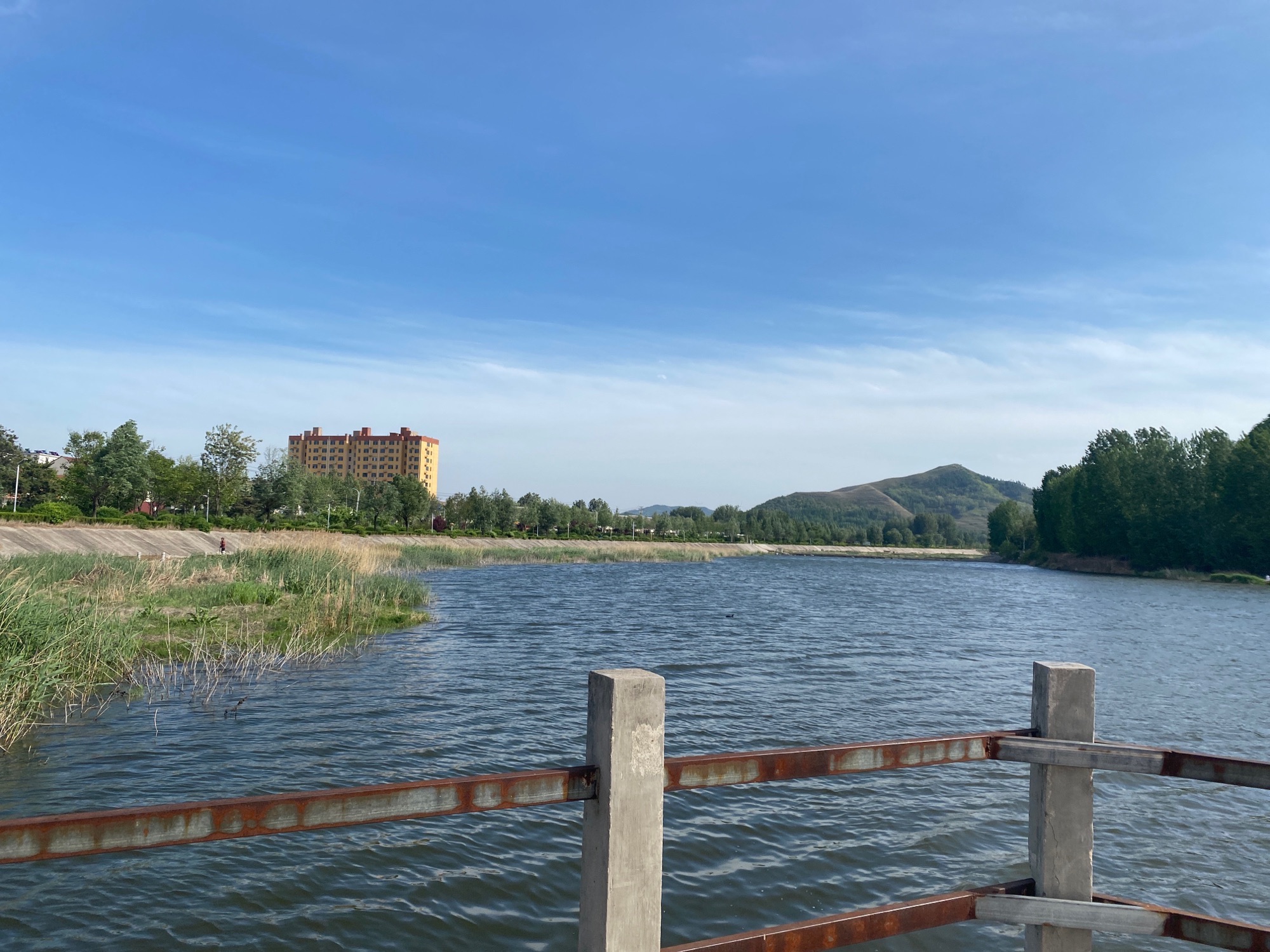弥河源湿地公园旅行图片 1