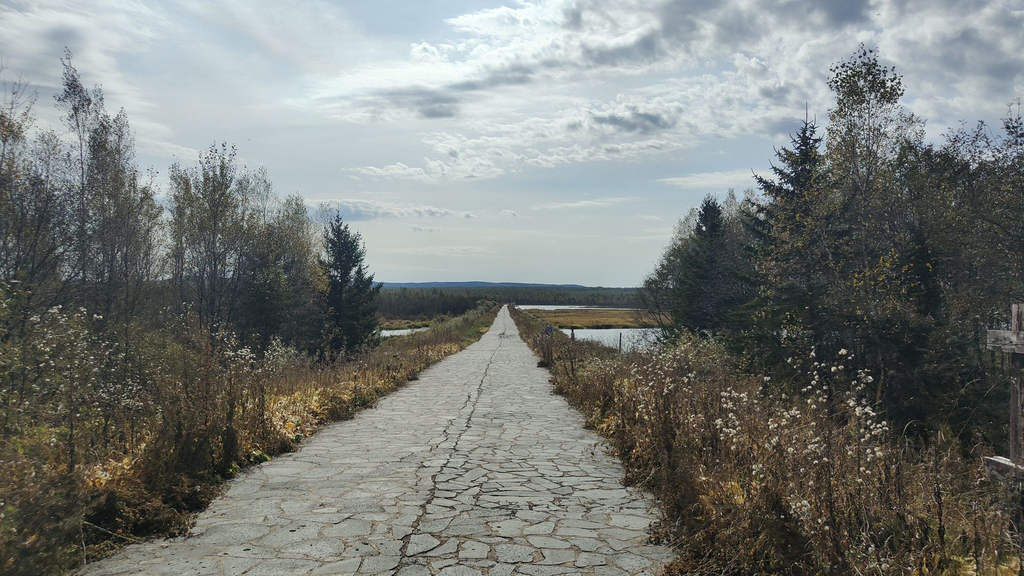 松江源湿地旅行图片 2