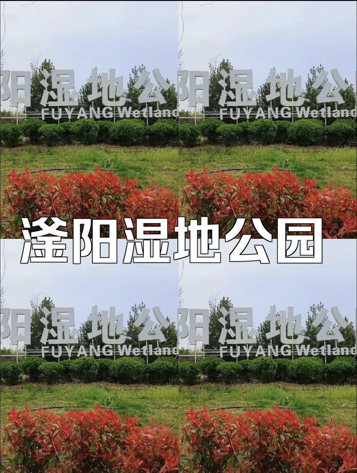 滏阳湿地公园旅行图片 3