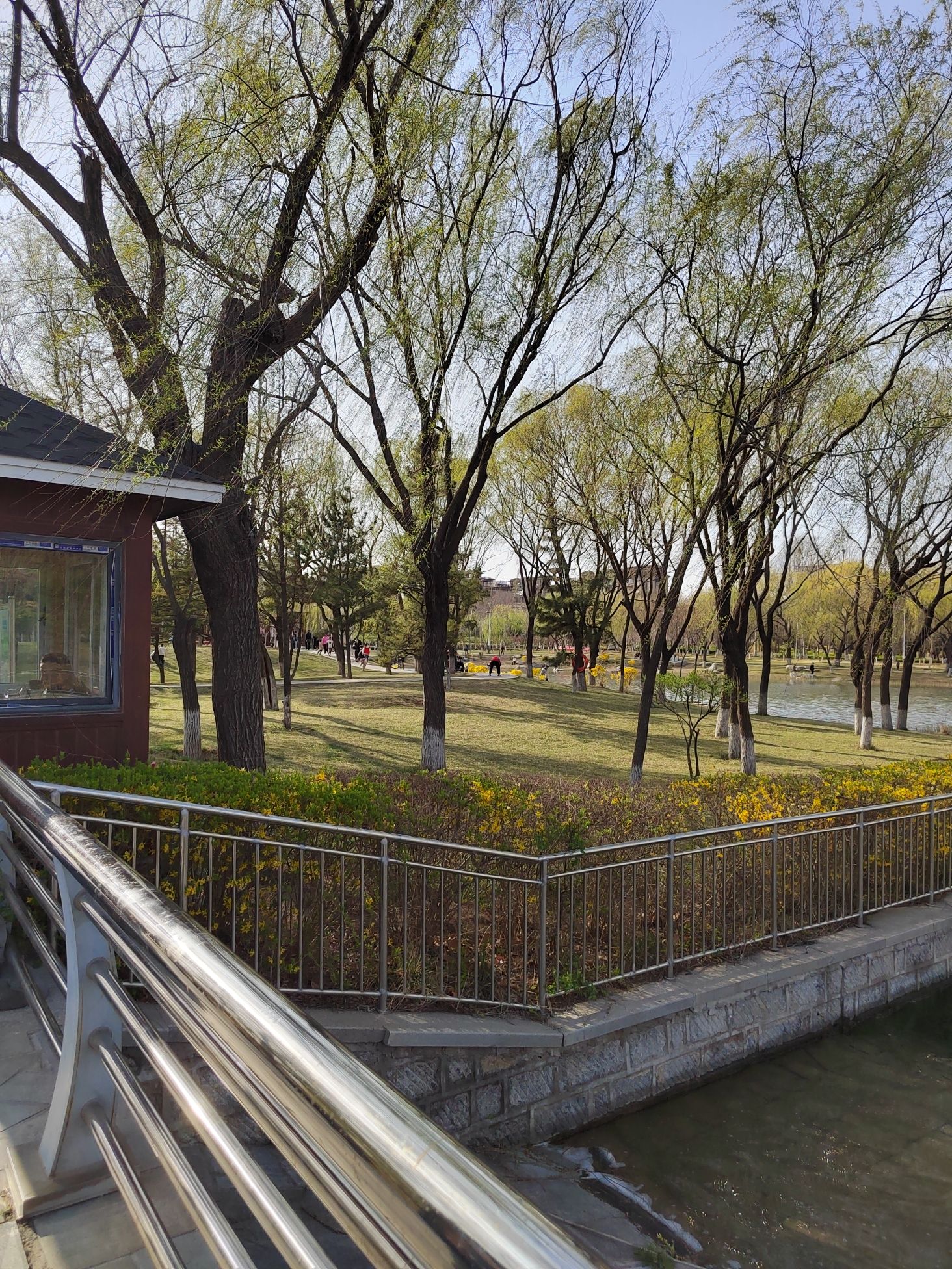 浞河健康主题公园旅行图片 3