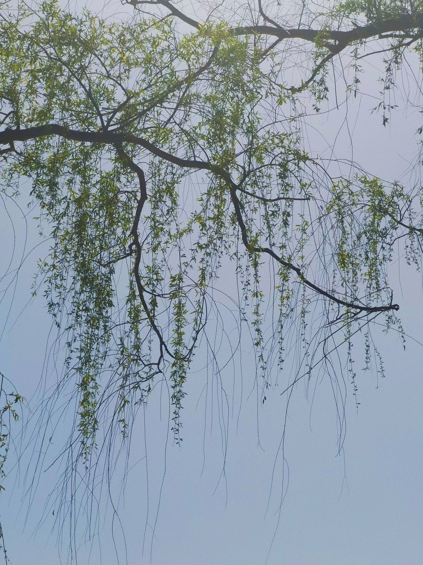 浞河健康主题公园旅行图片 3