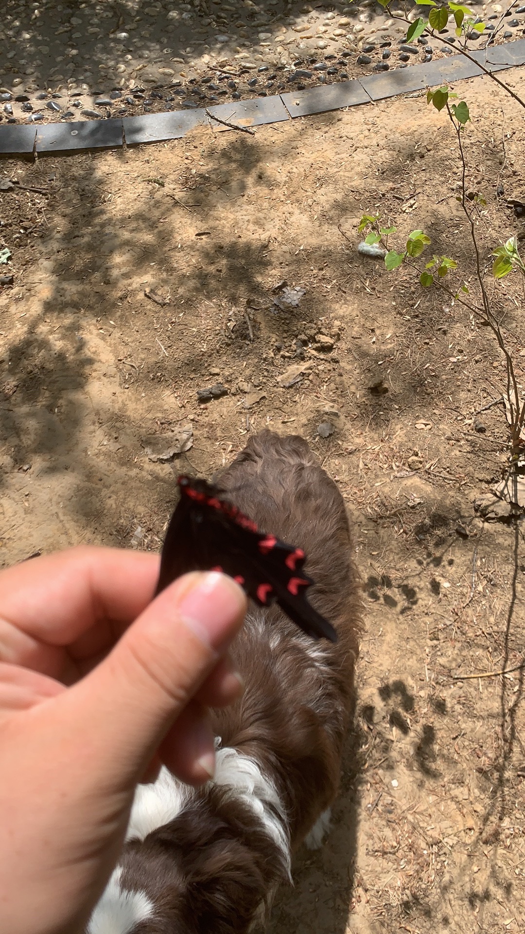 浞河健康主题公园旅行图片 2