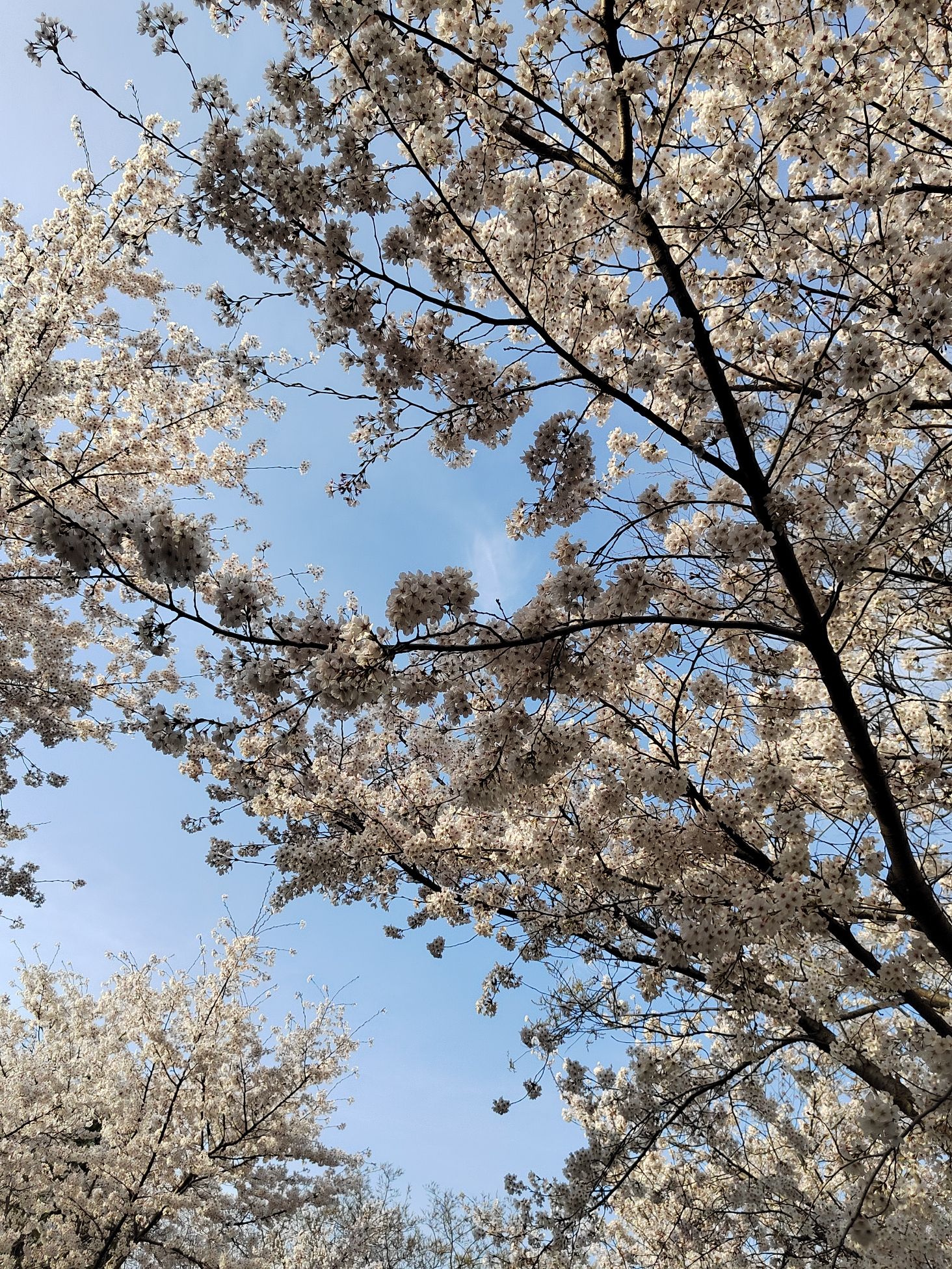 浞河健康主题公园旅行图片 1