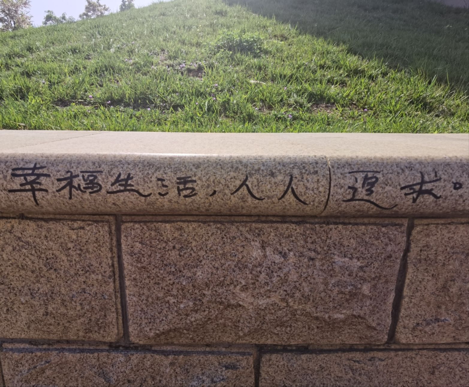 浞河健康主题公园旅行图片 2