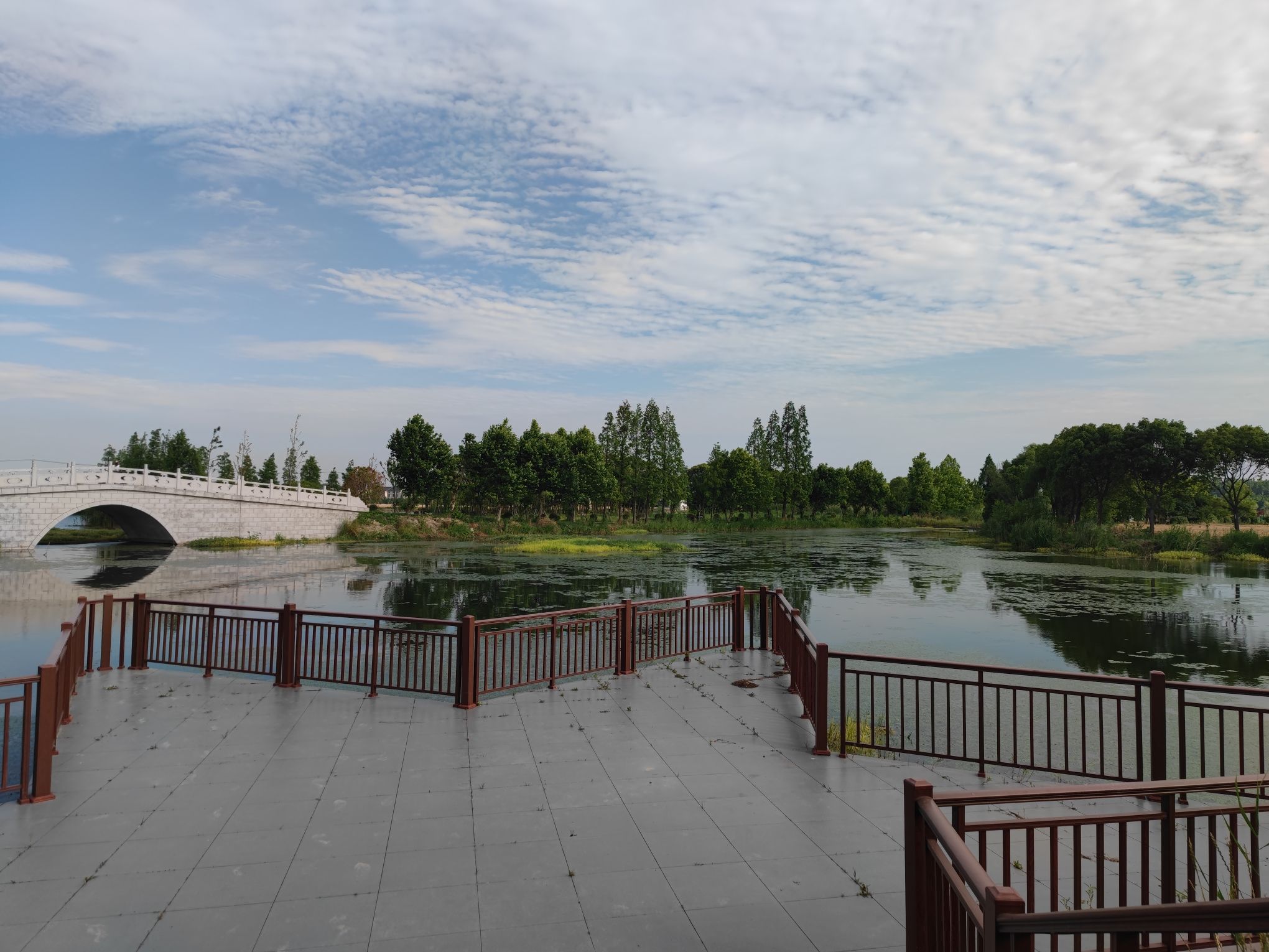 沉海圩乡村湿地旅行图片 2