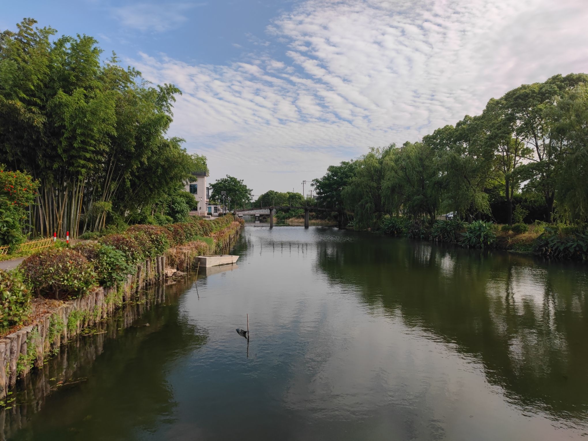 沉海圩乡村湿地旅行图片 1
