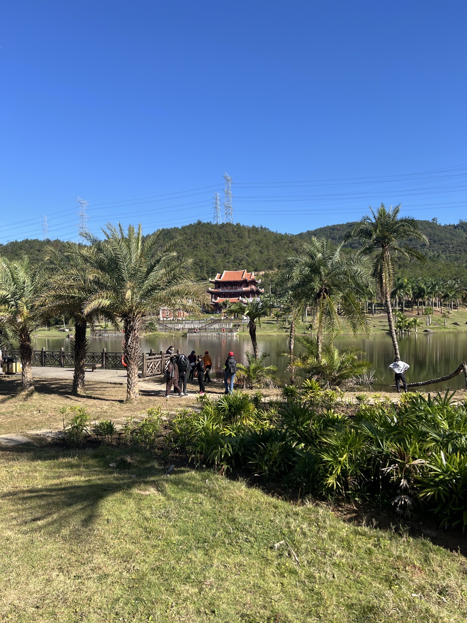 泉州植物园旅行图片 2
