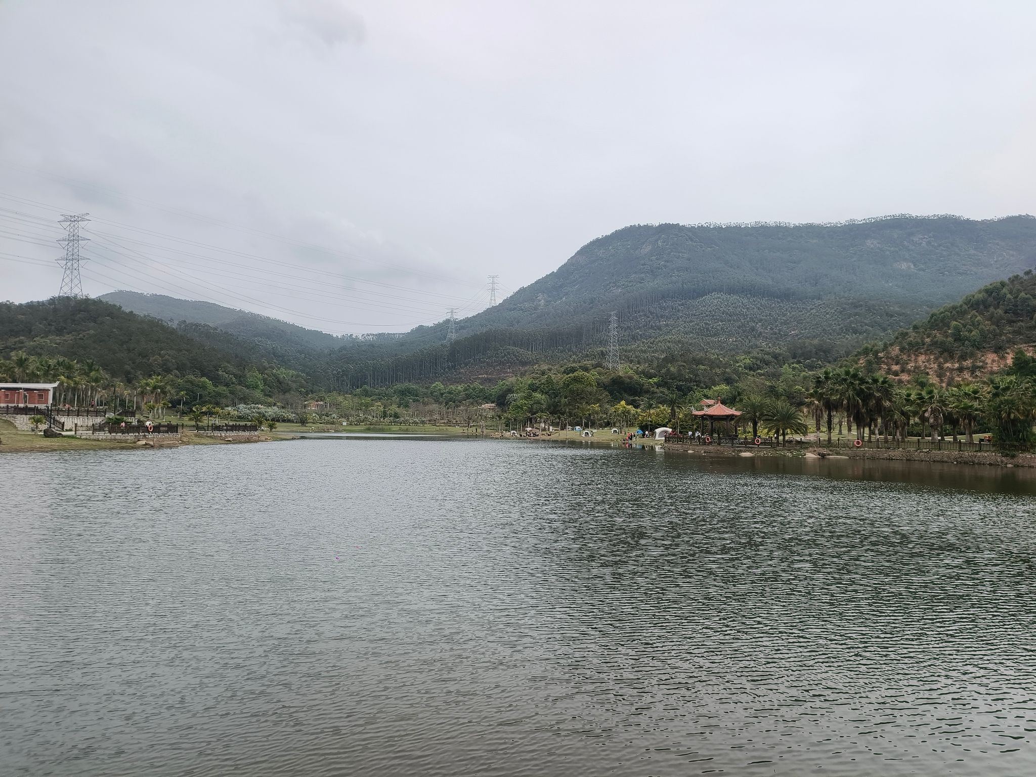 泉州植物园旅行图片 3