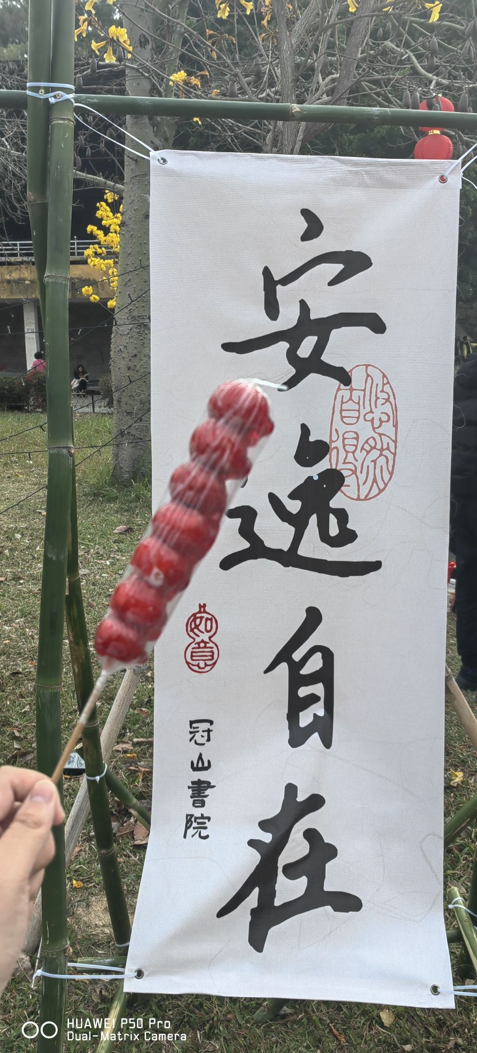 冠山书院主题公园旅行图片 3