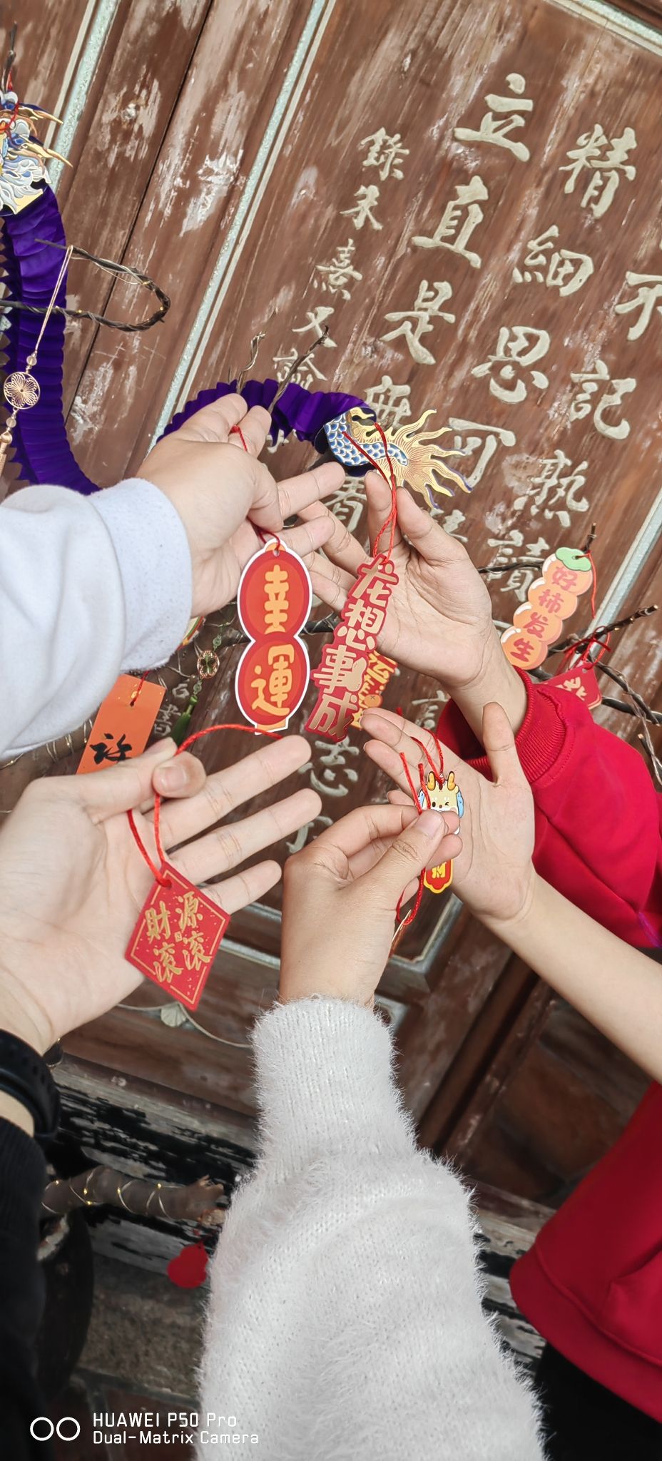 冠山书院主题公园旅行图片 2