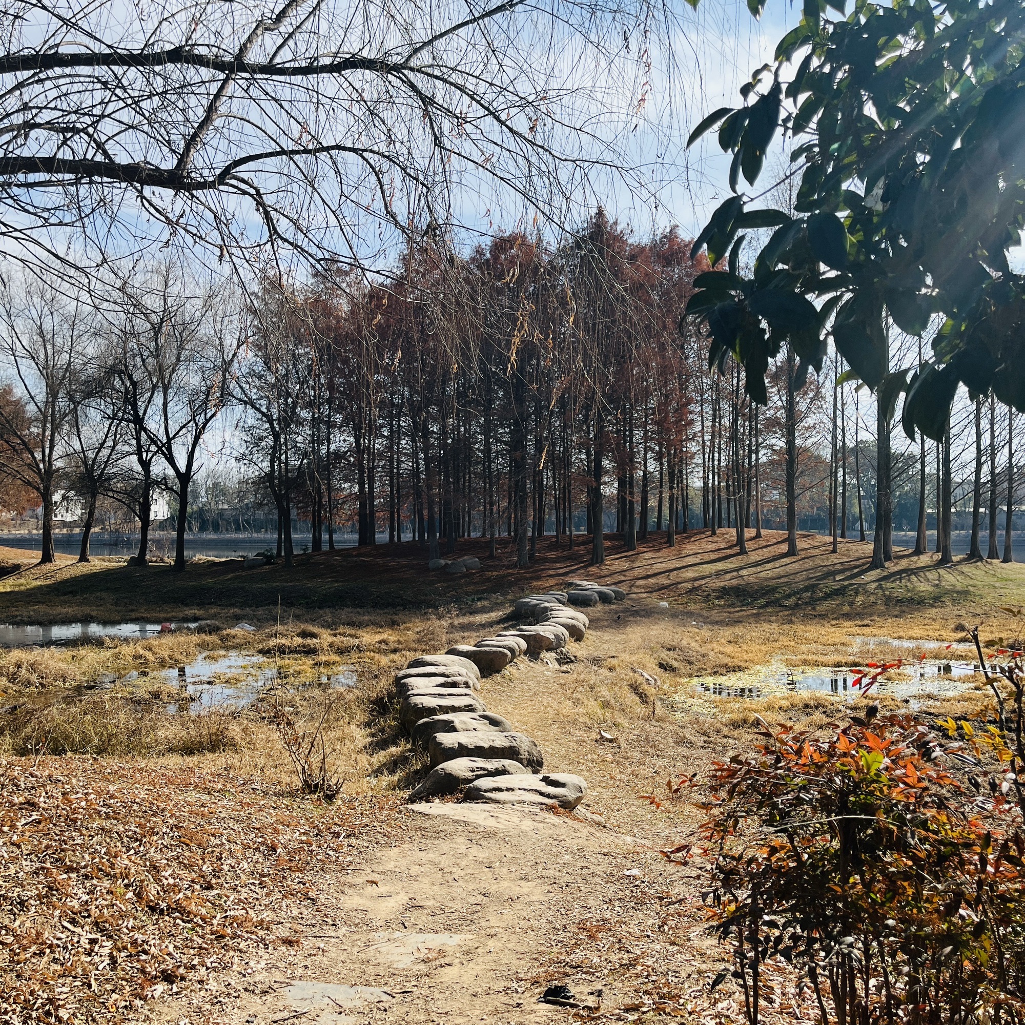 梅林生态湿地旅行图片 2
