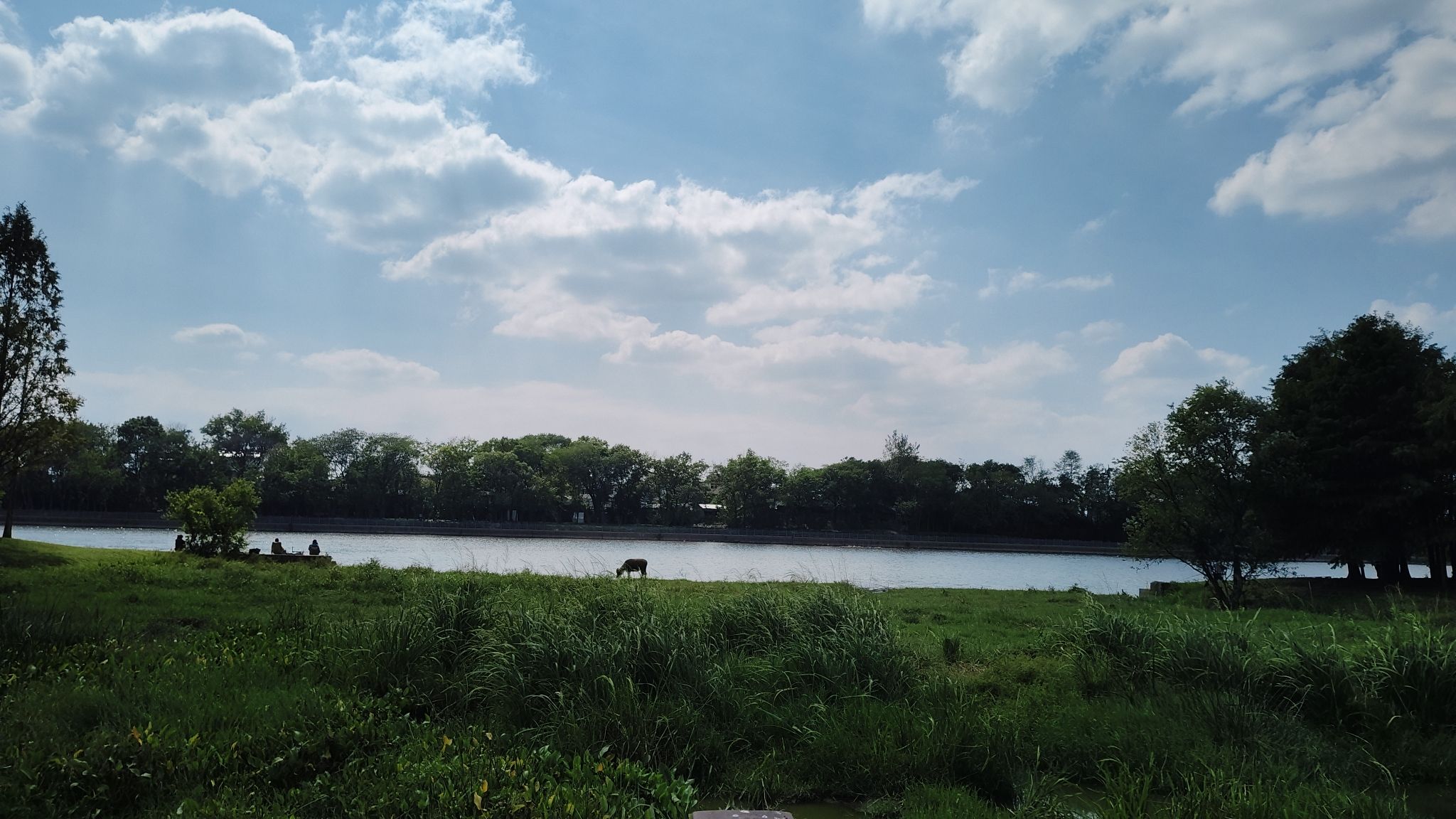 梅林生态湿地旅行图片 3