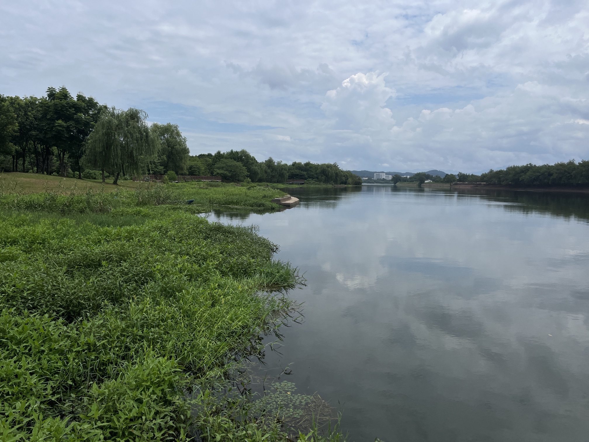 梅林生态湿地