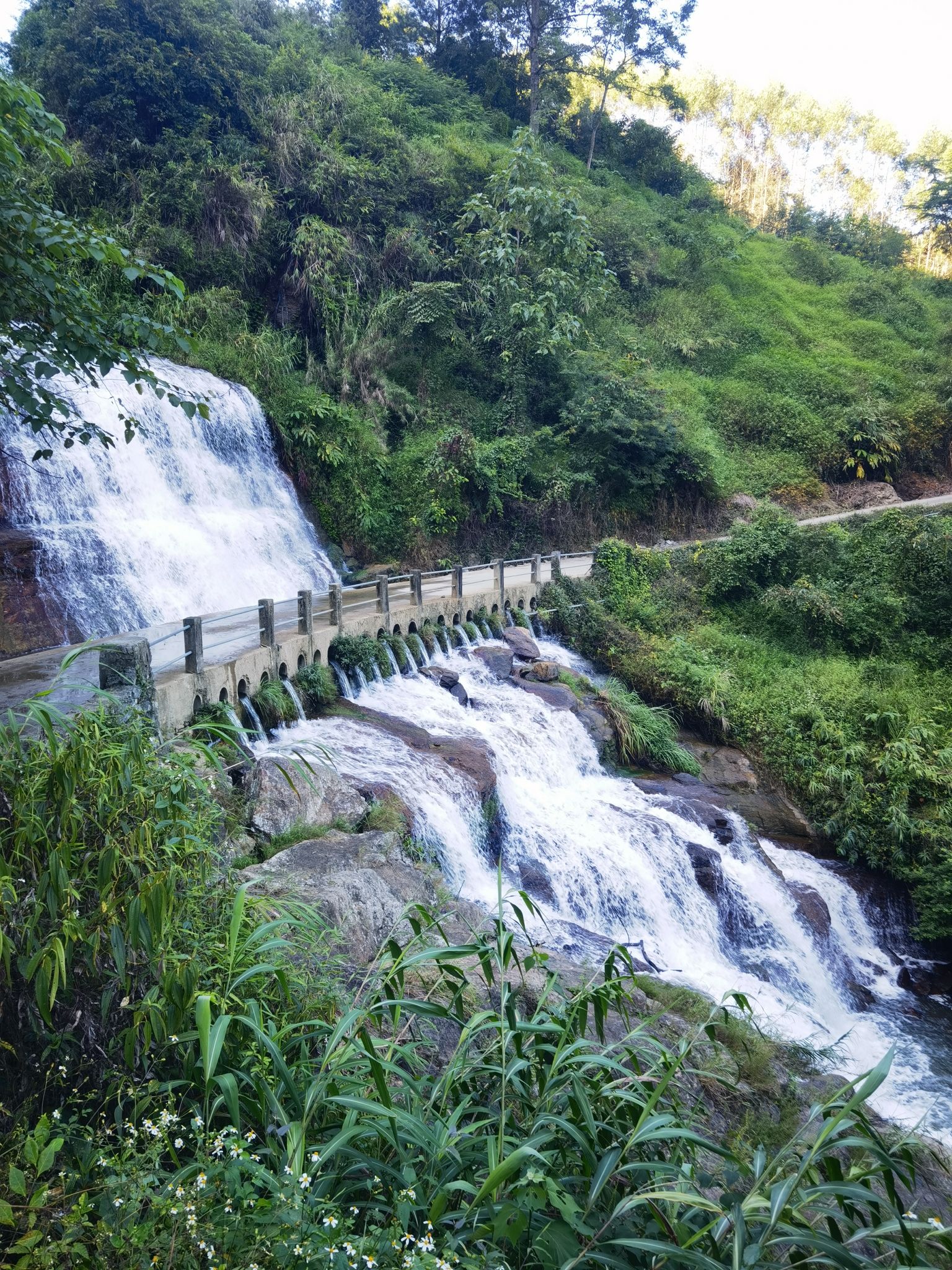 利琴瀑布旅行图片 2