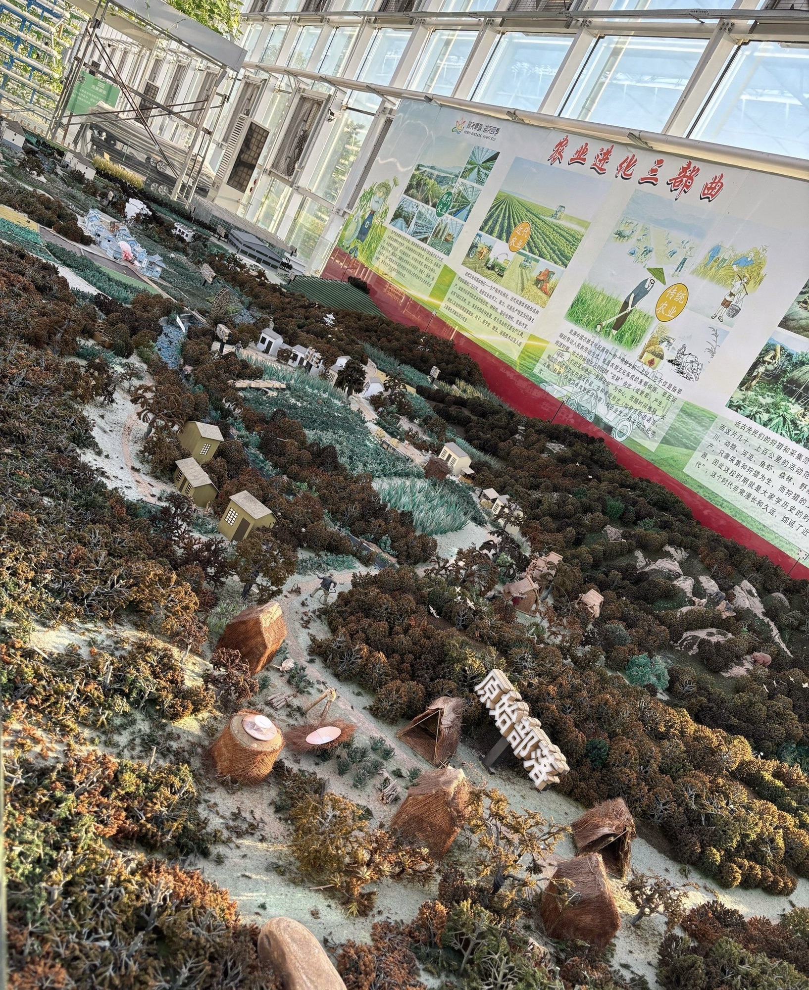 荷美覃塘景区旅行图片 3
