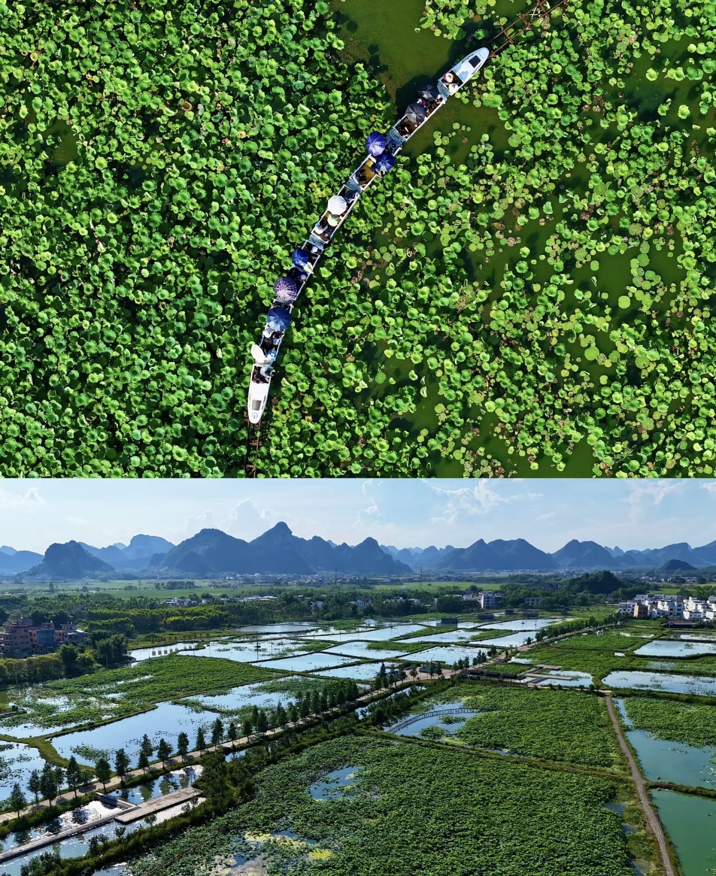 荷美覃塘景区旅行图片 3