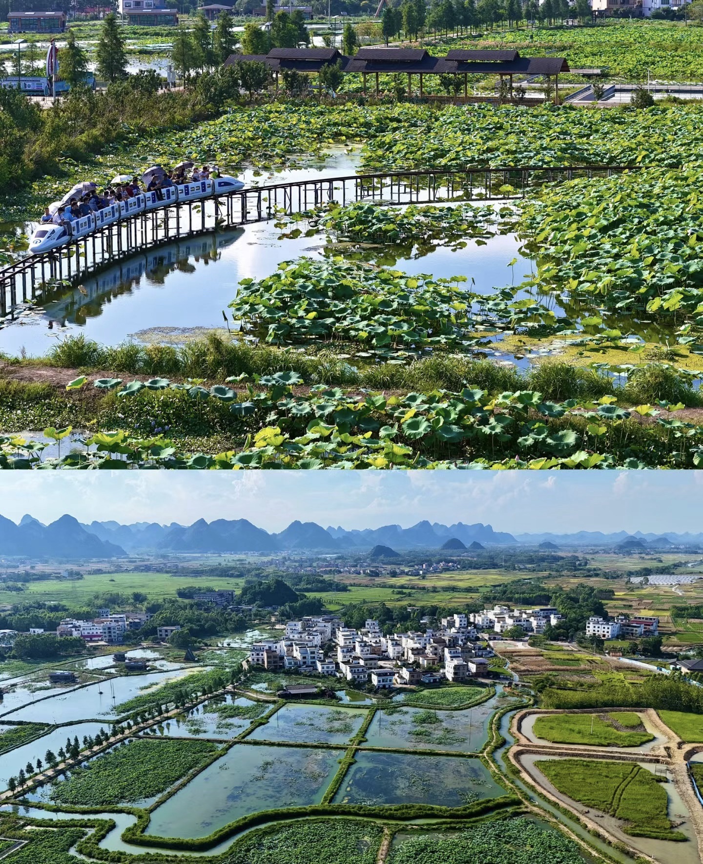 荷美覃塘景区旅行图片 2