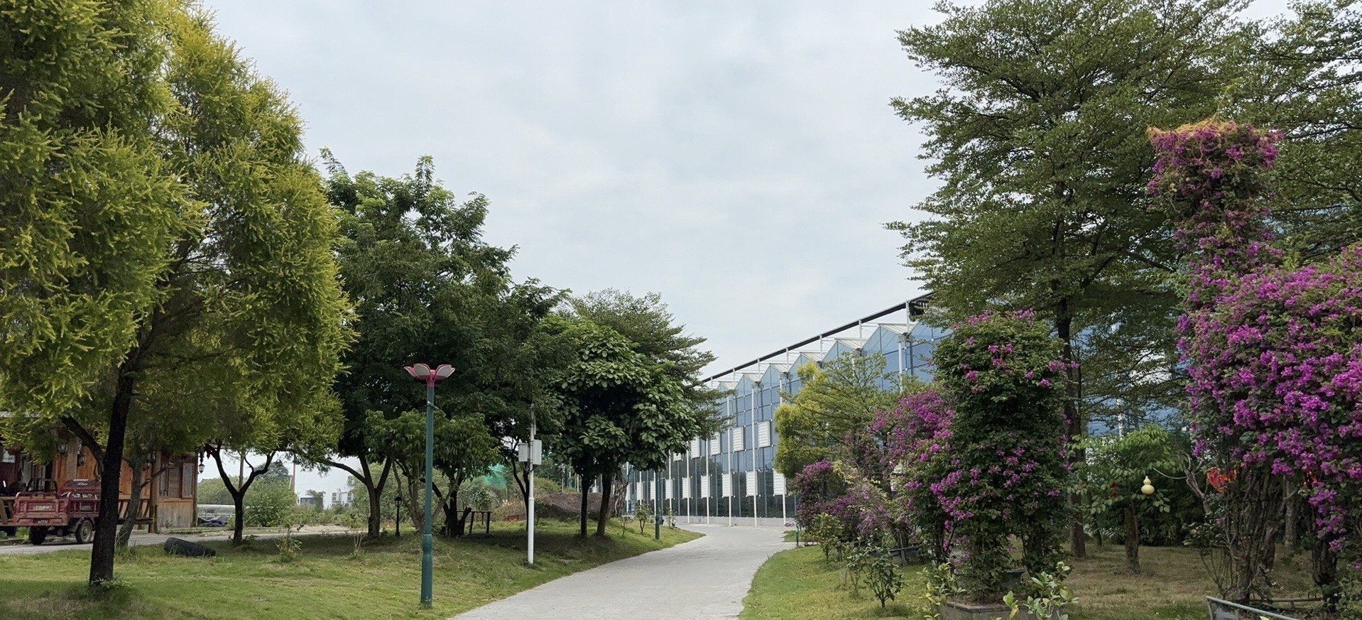 荷美覃塘景区旅行图片 1