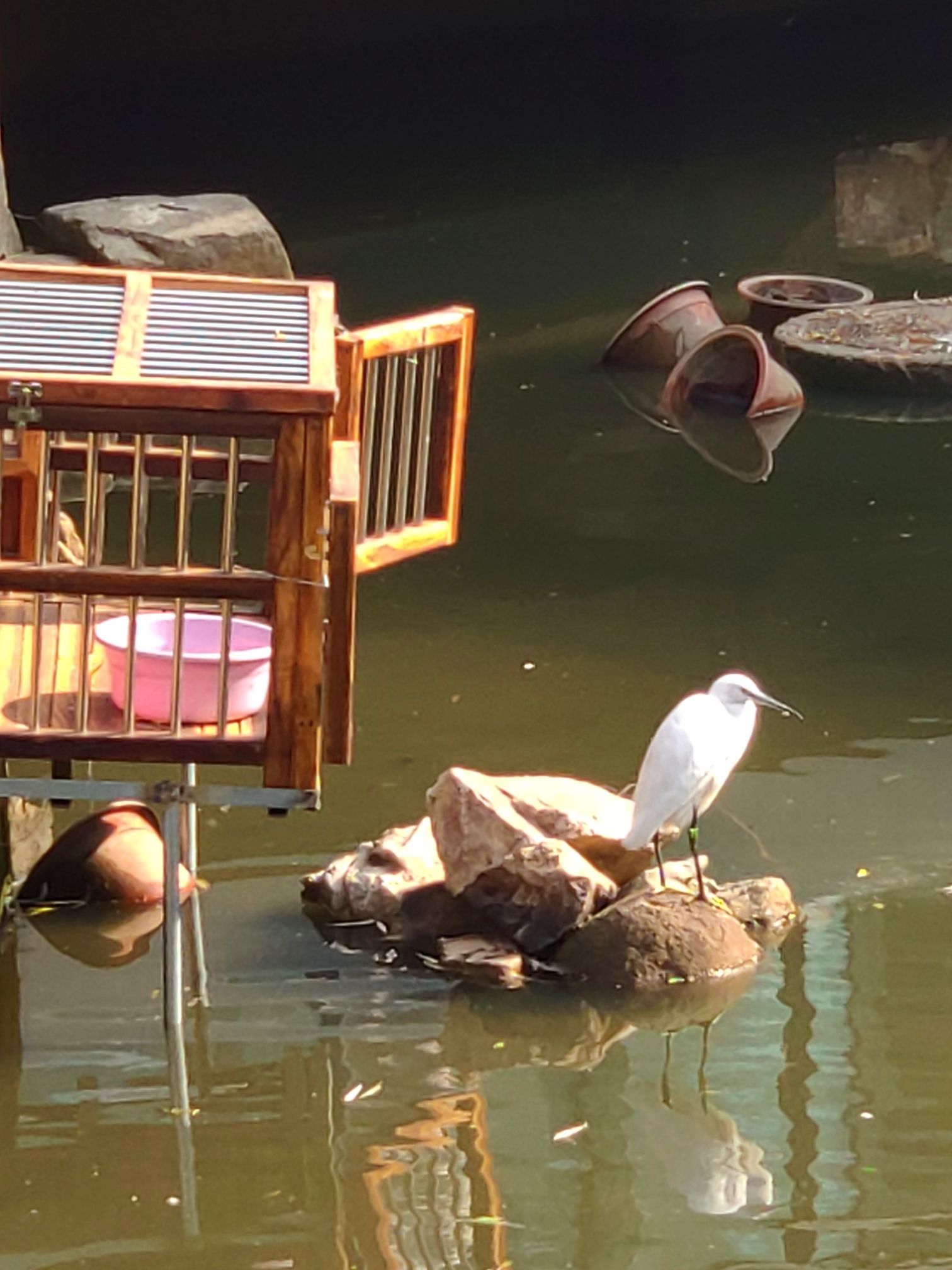 枣阳公园旅行图片 2