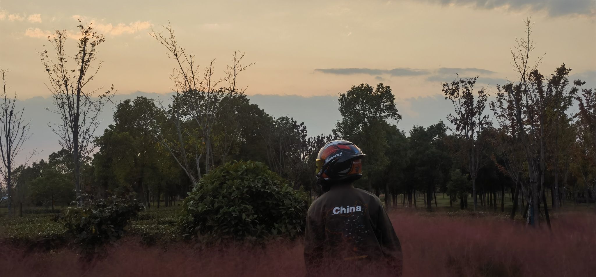 北辰公园旅行图片 2