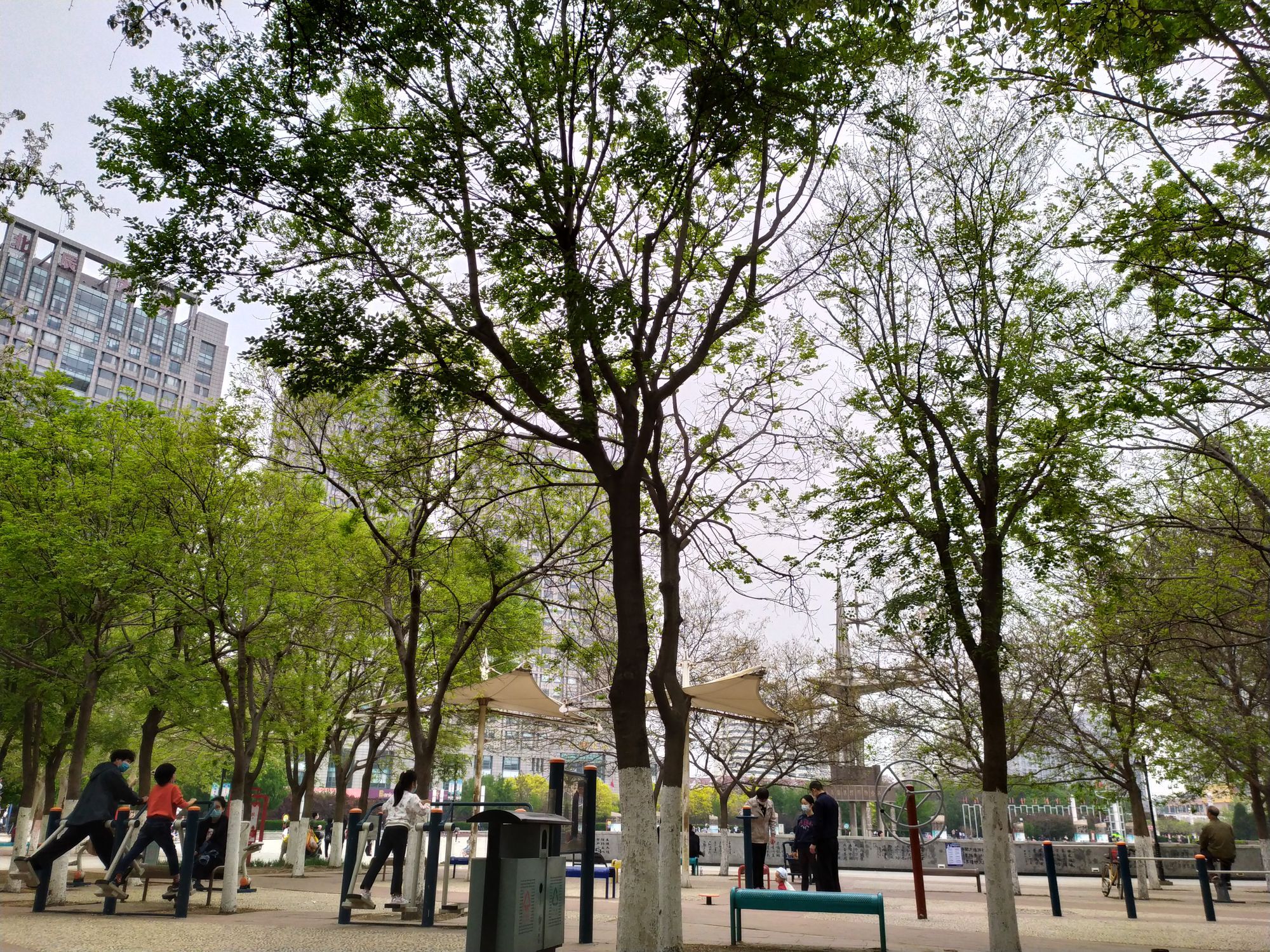北辰公园旅行图片 2