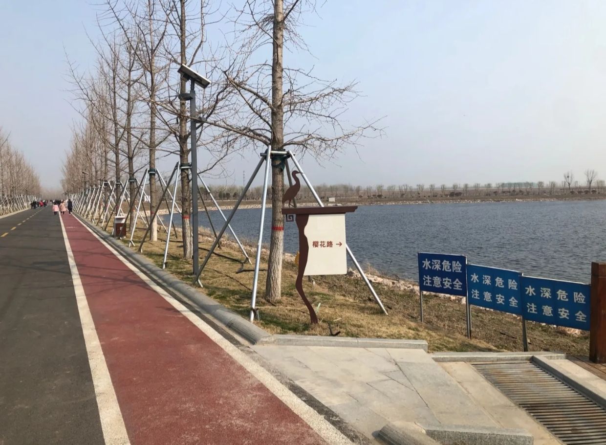 龙湖湿地公园旅行图片 2