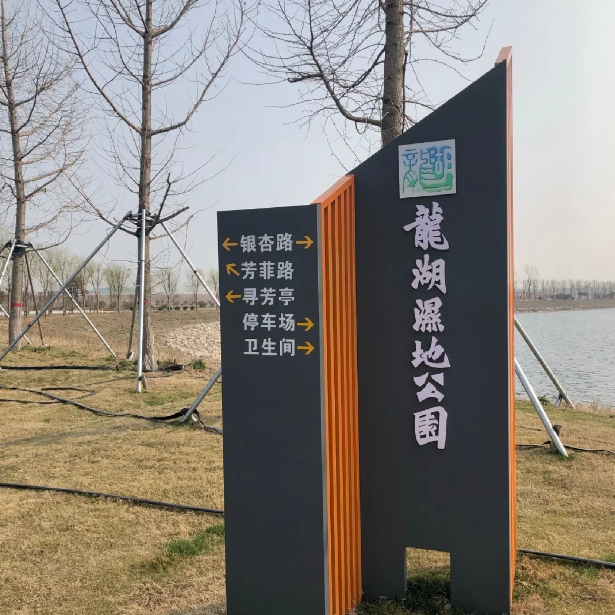 龙湖湿地公园旅行图片 1